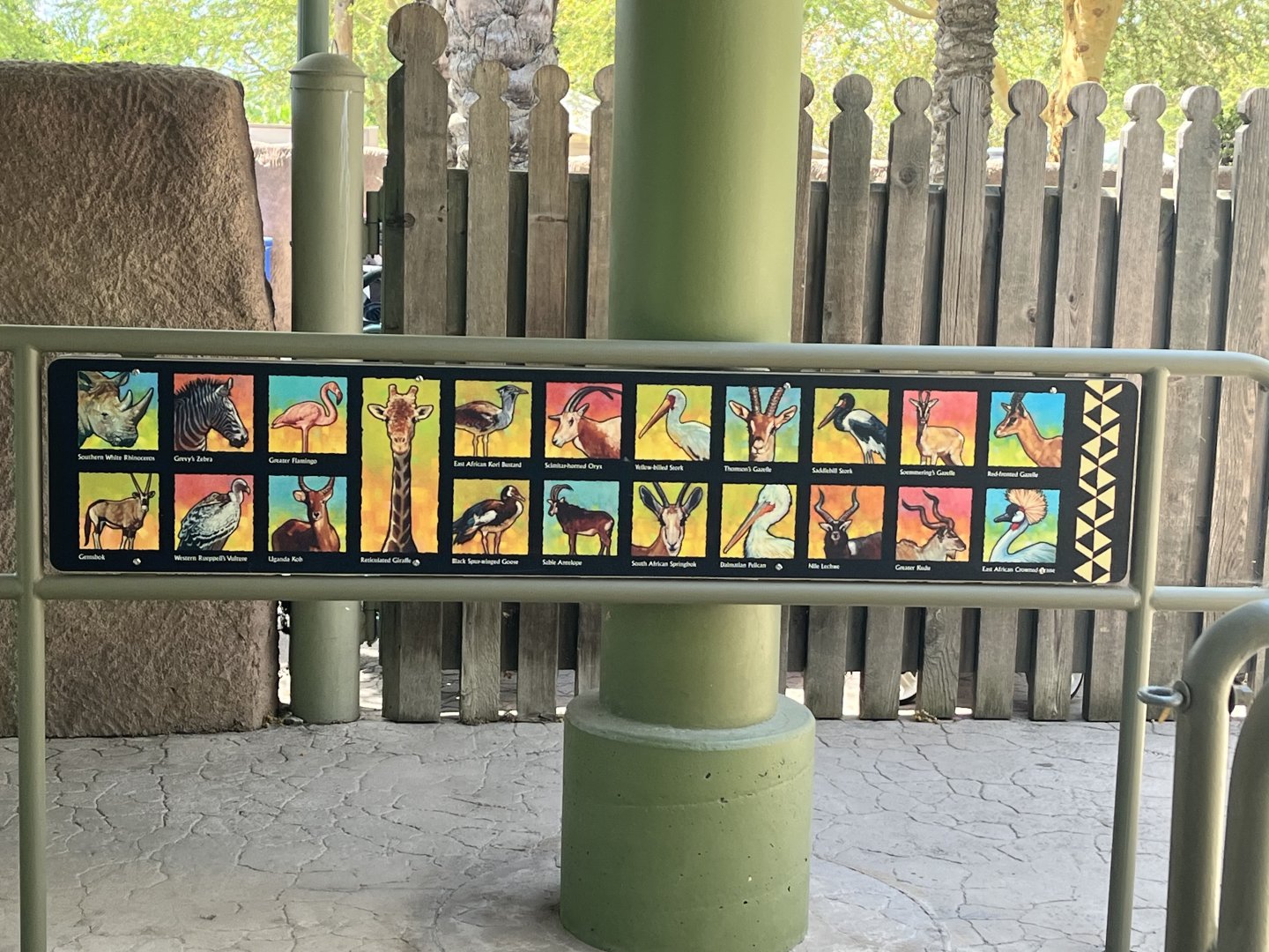 Africa Tram Species List