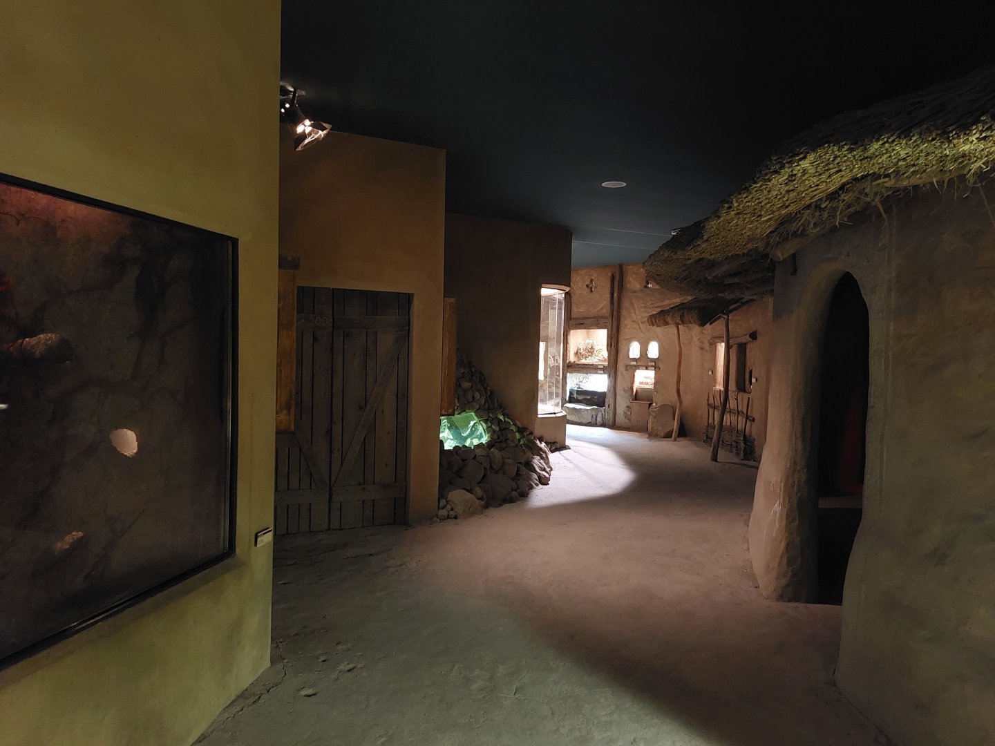 Africa up close - general view