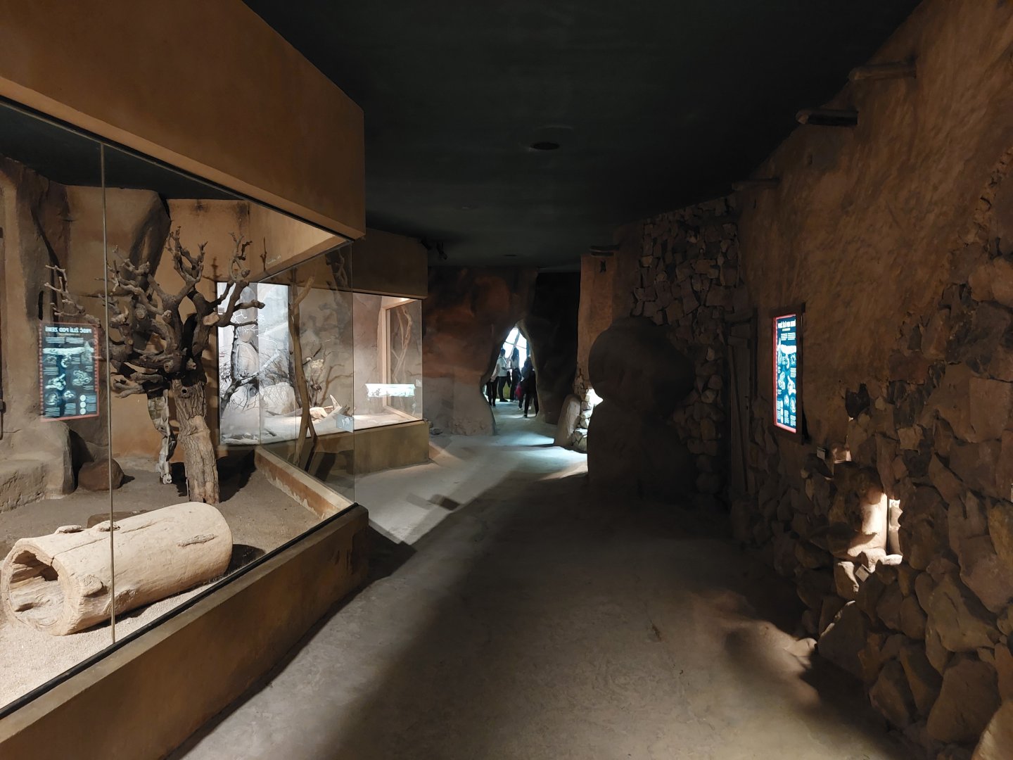 Africa up close - general view