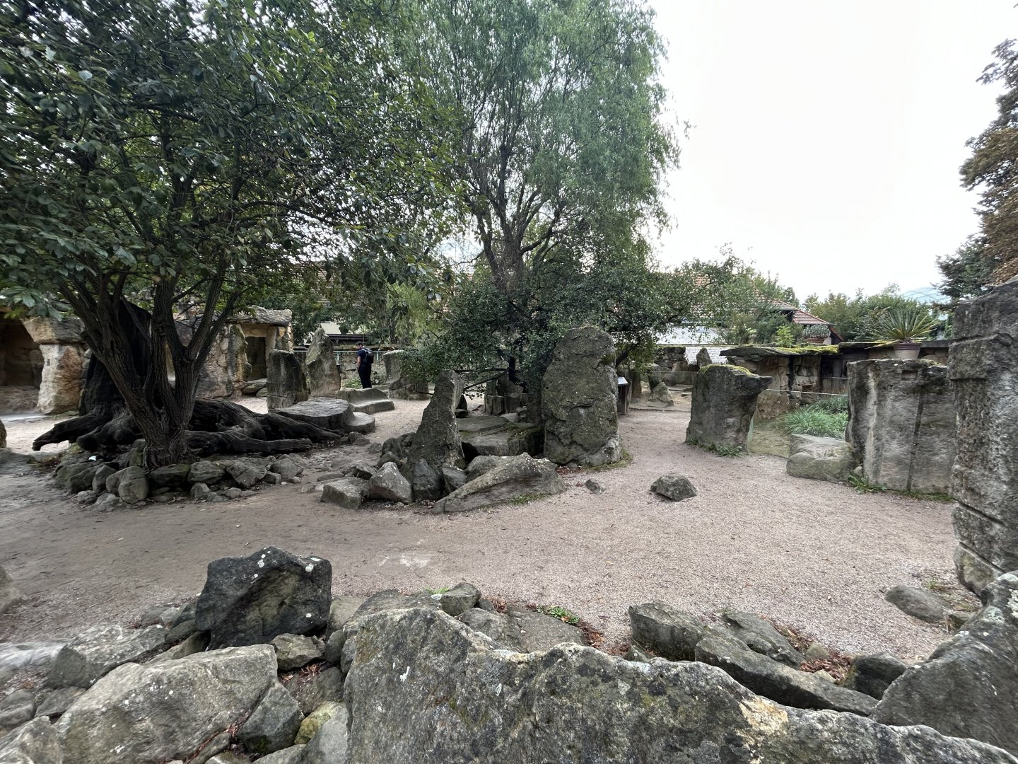 Africa Up Close Overview