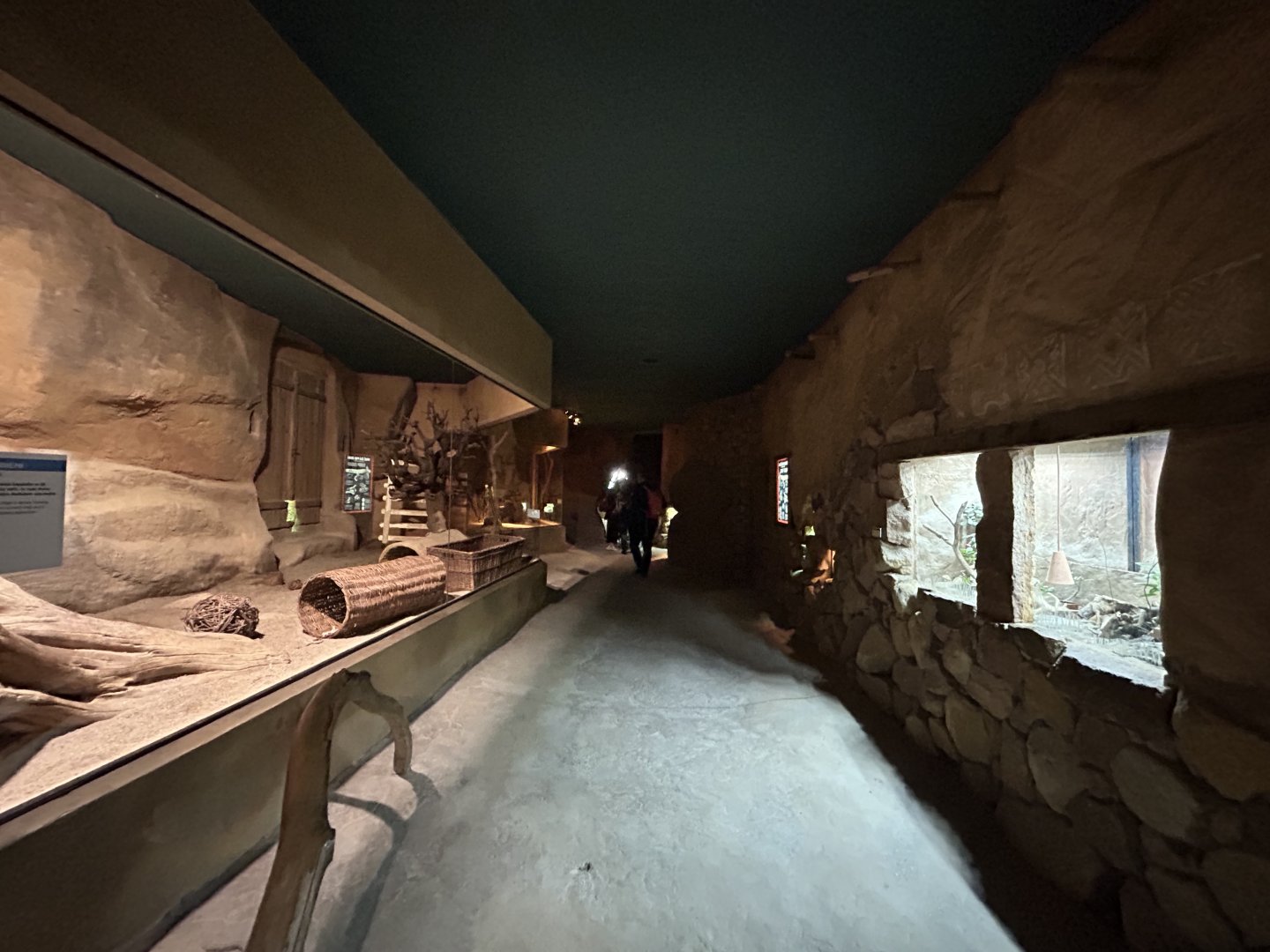 Africa Up Close Pavilion Overview