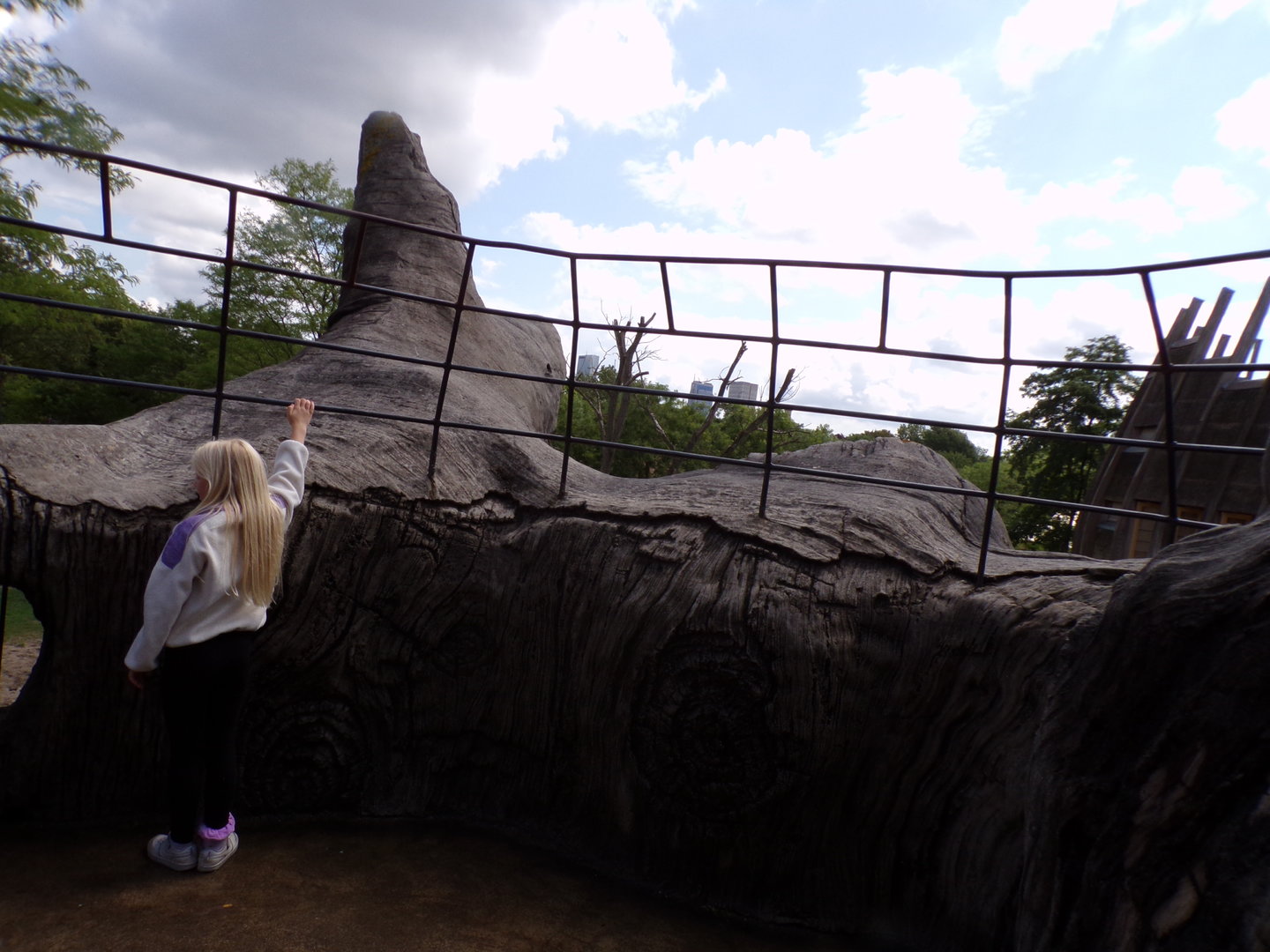 Africa- View from fake tree 13.7.23