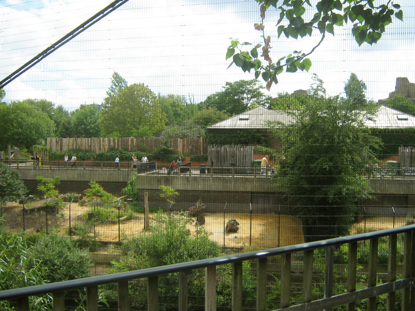 Africa View From Inside Snowdon Aviary