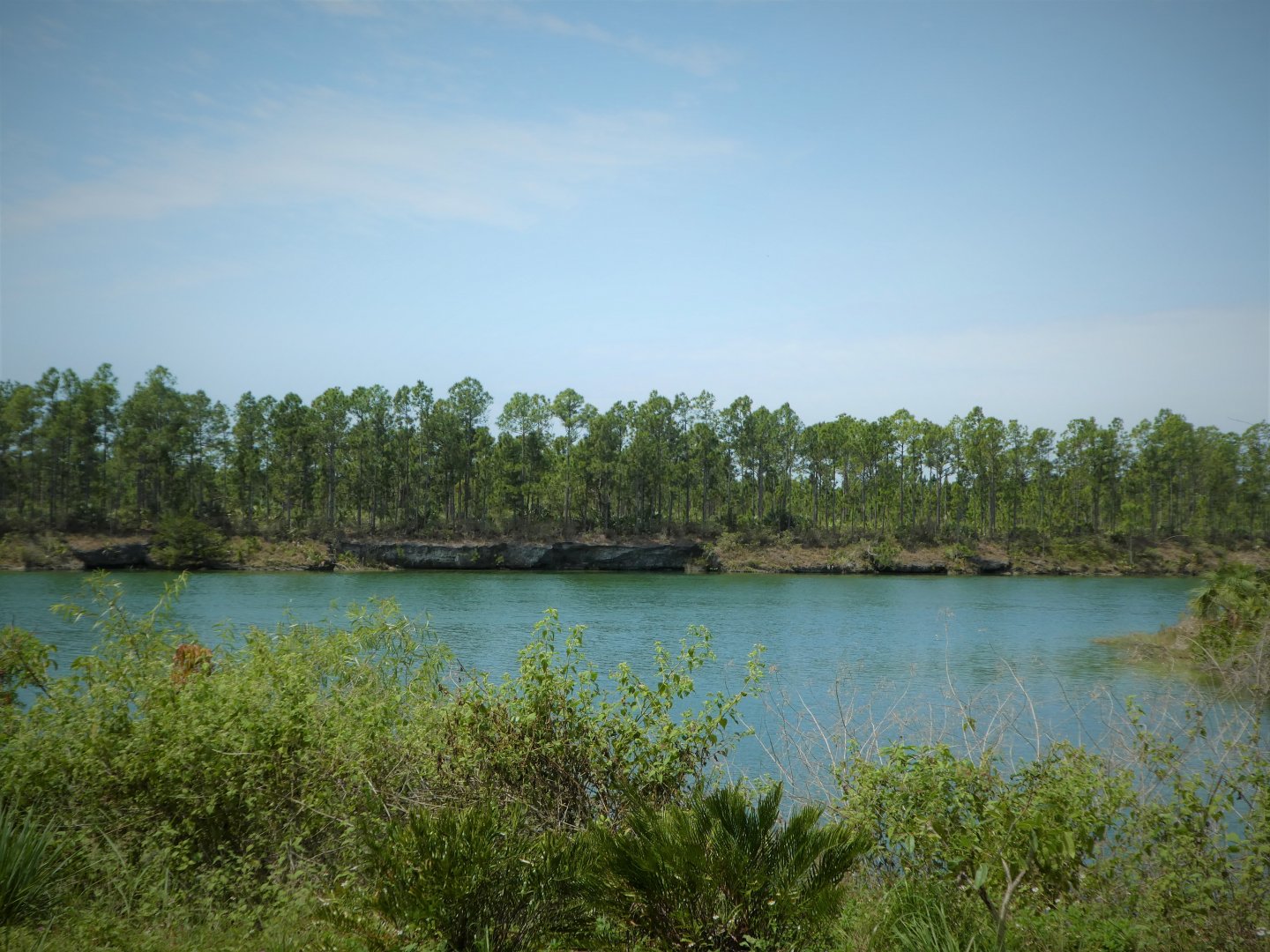 Africa - View of Pine Rocklands