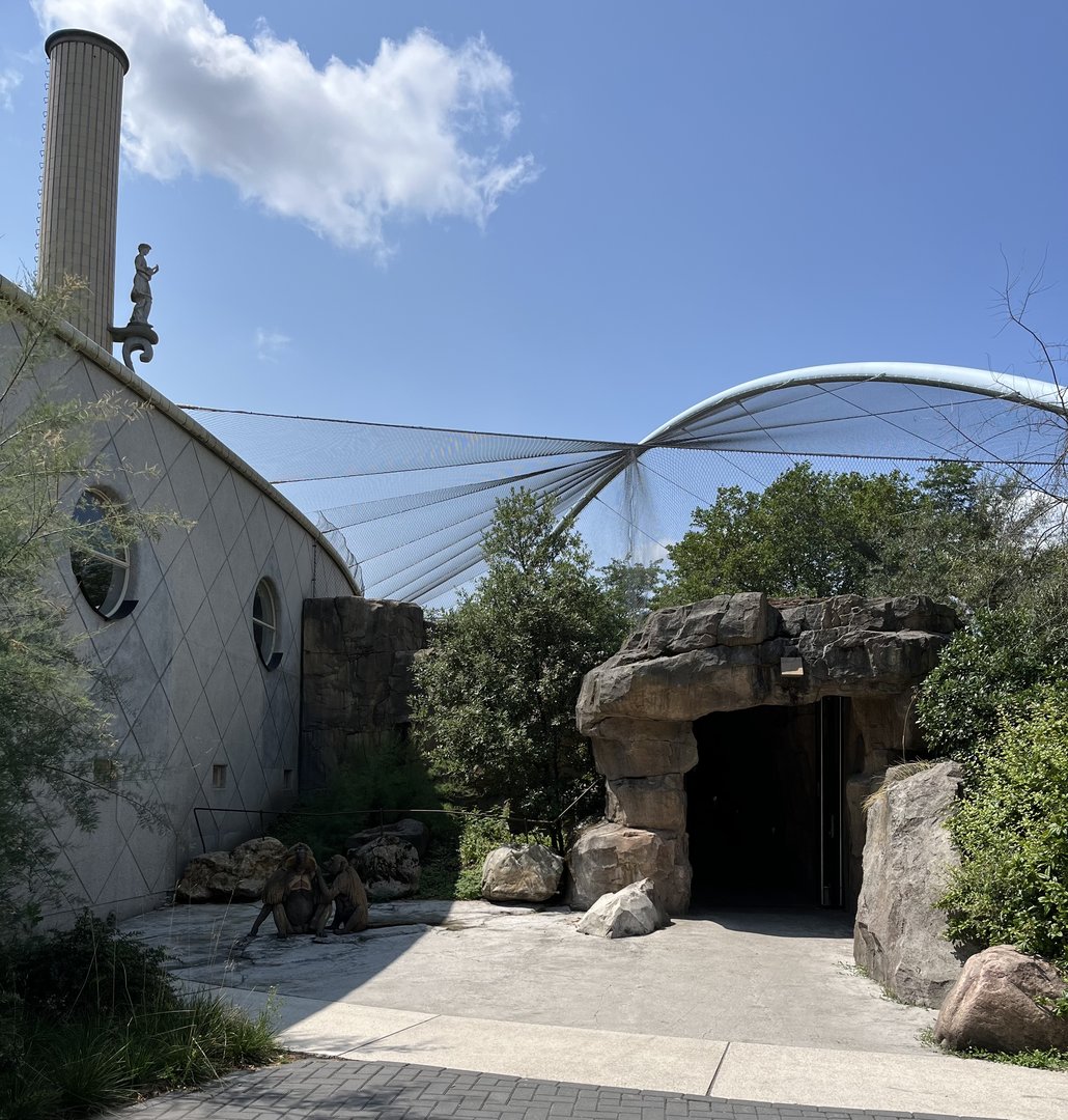 Africa- View outside Gelada house 13.7.23
