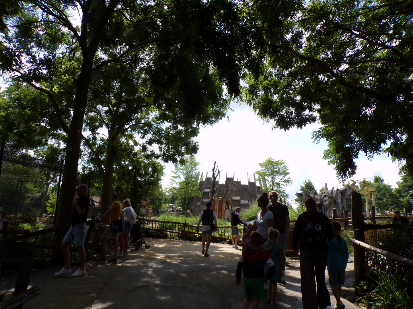 Africa- View towards giraffe house 13.7.23