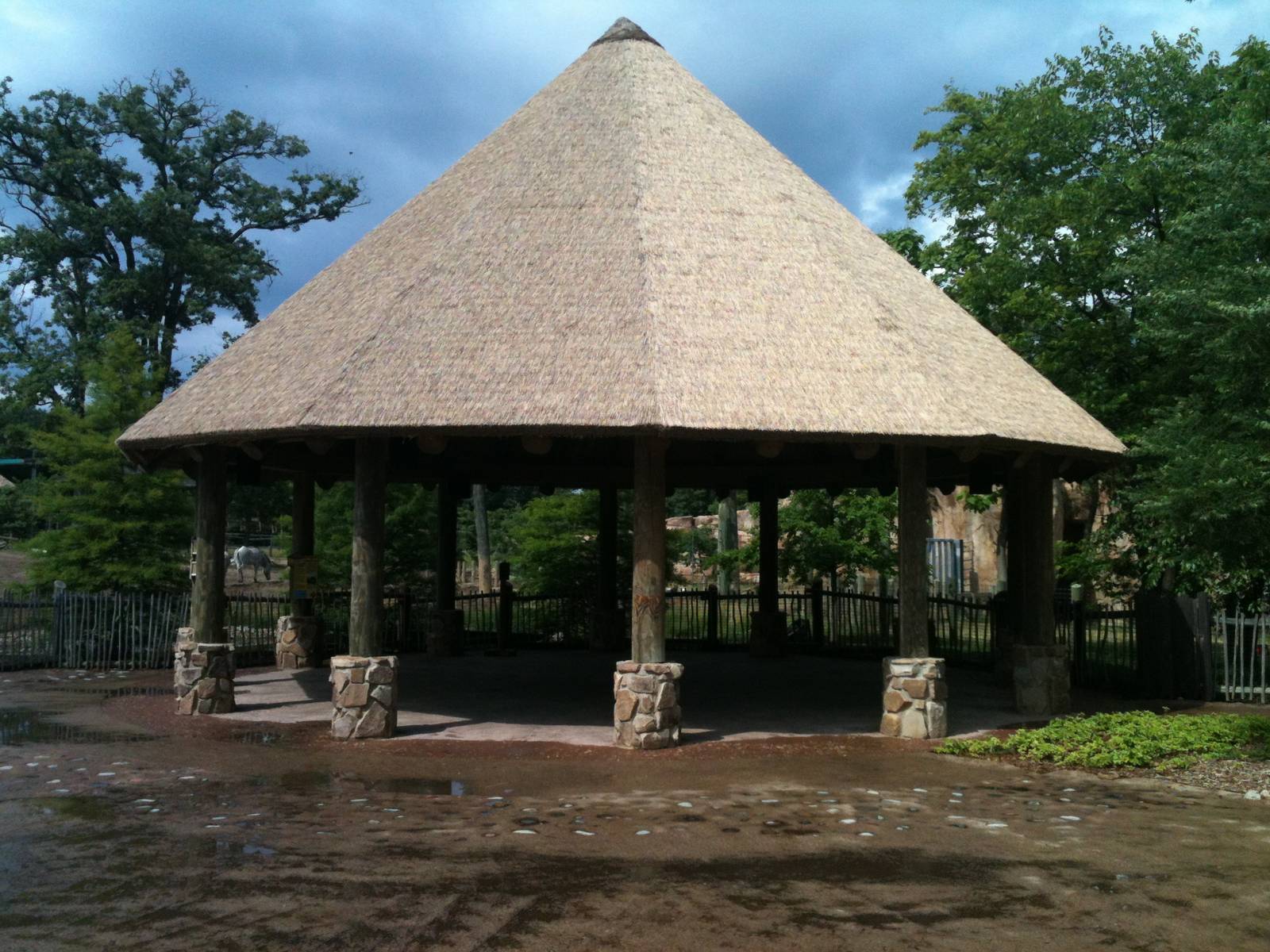 Africa-Viewing are for the Rhino and Zebra Yard