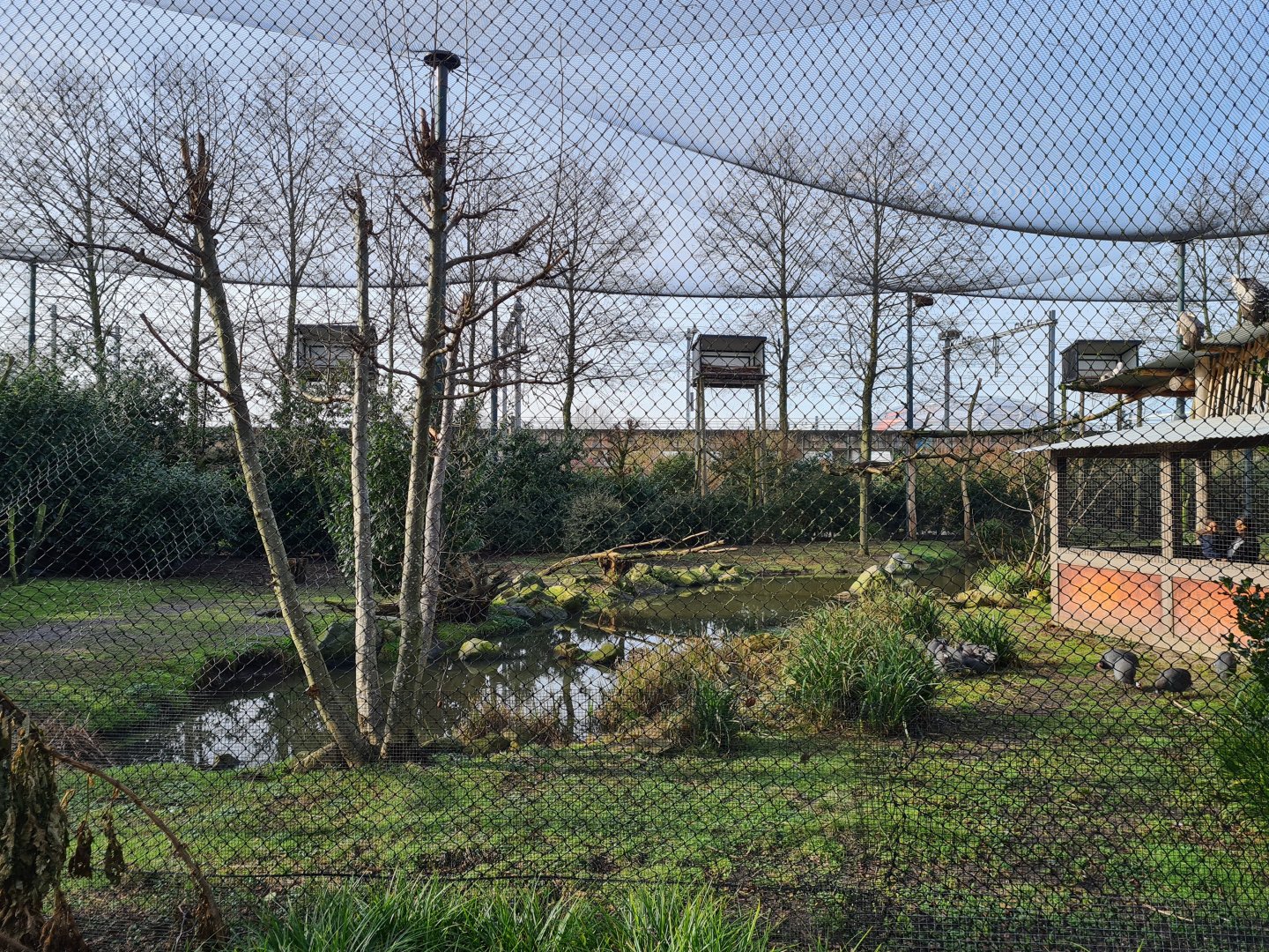 Africa - Vulture rock interior