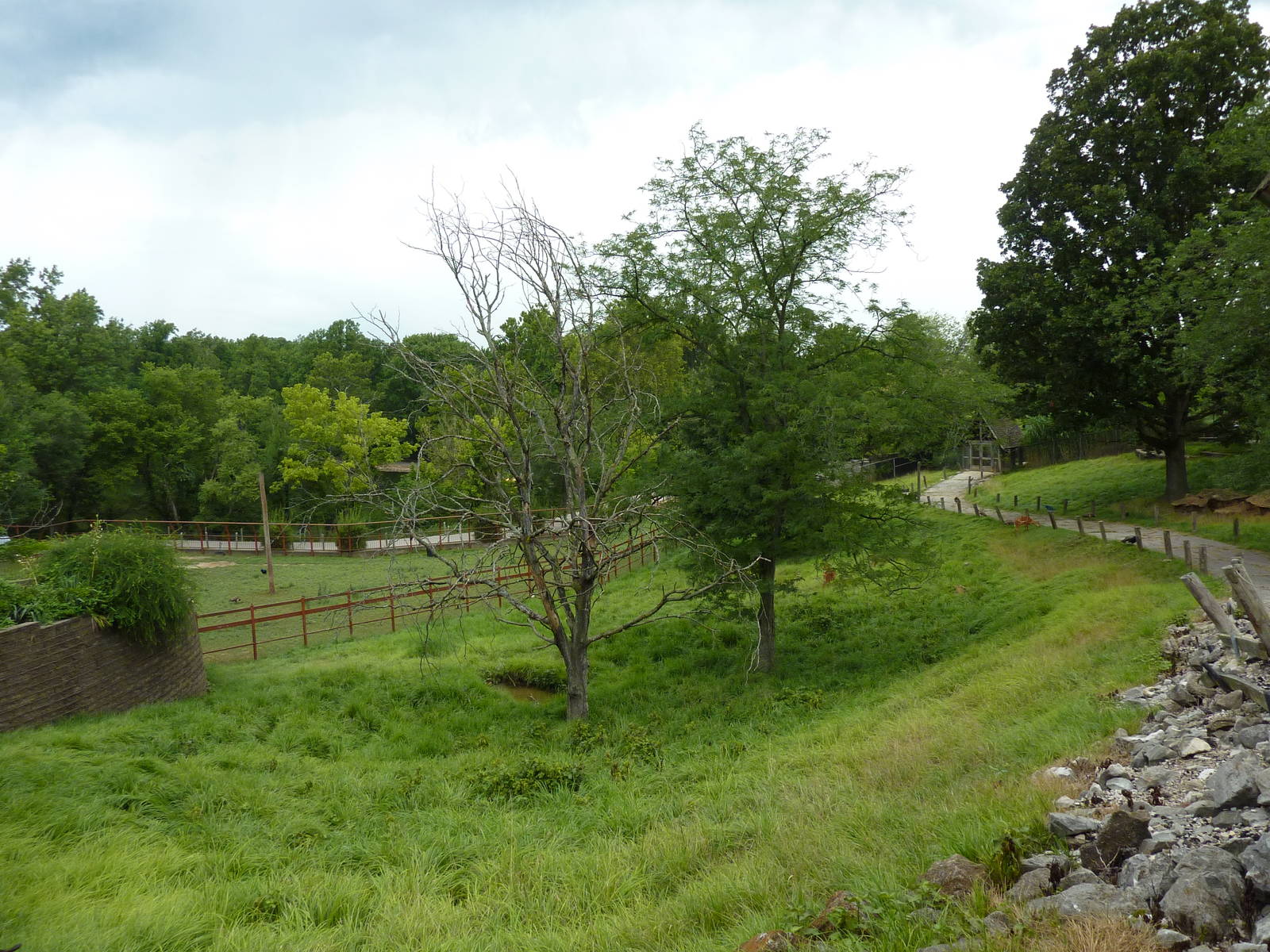 Africa - Walk-Through Sitatunga/White Stork Exhibit