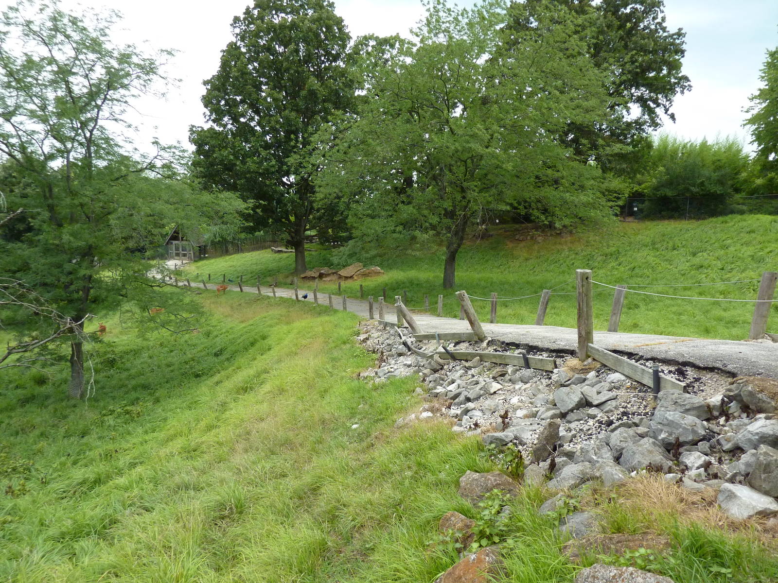 Africa - Walk-Through Sitatunga/White Stork Exhibit