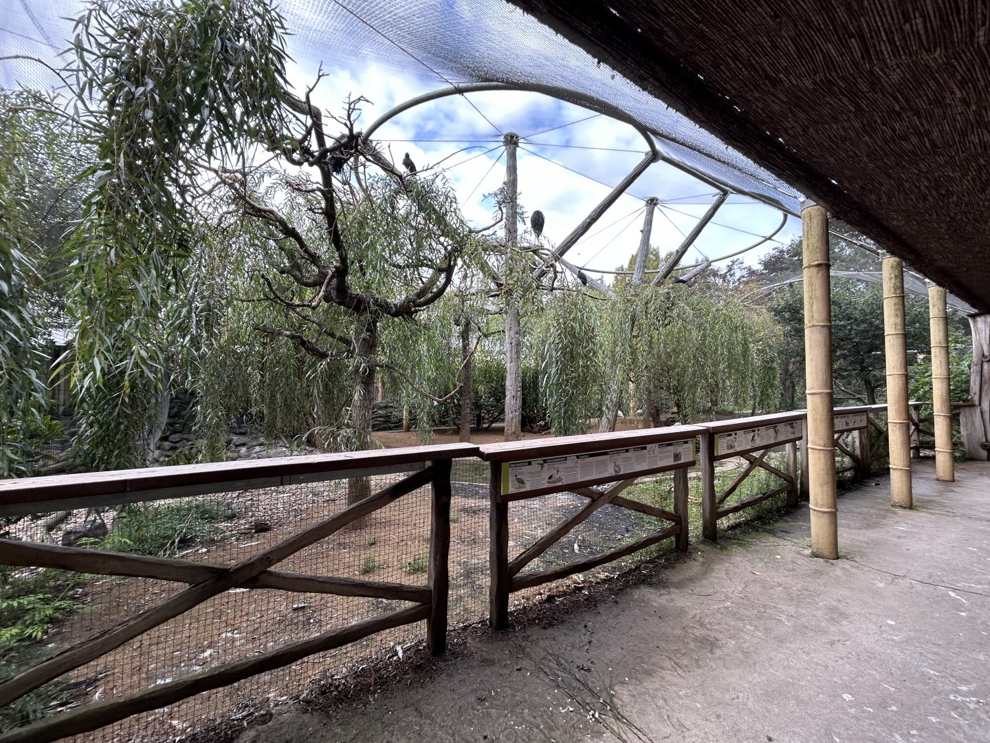 Africa Walkthrough Aviary