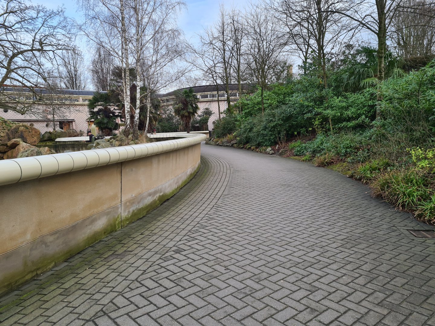 Africa - Walkway past Eastern Black rhinoceros