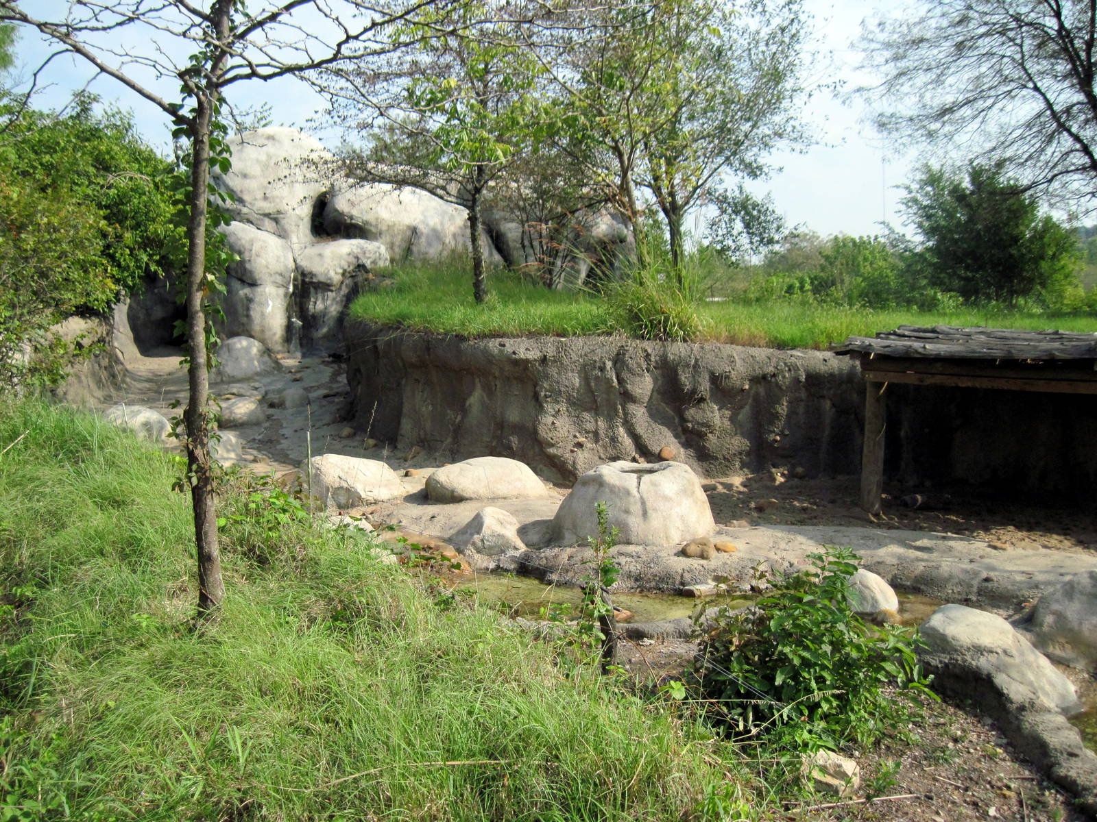 Africa-Warthog Exhibit
