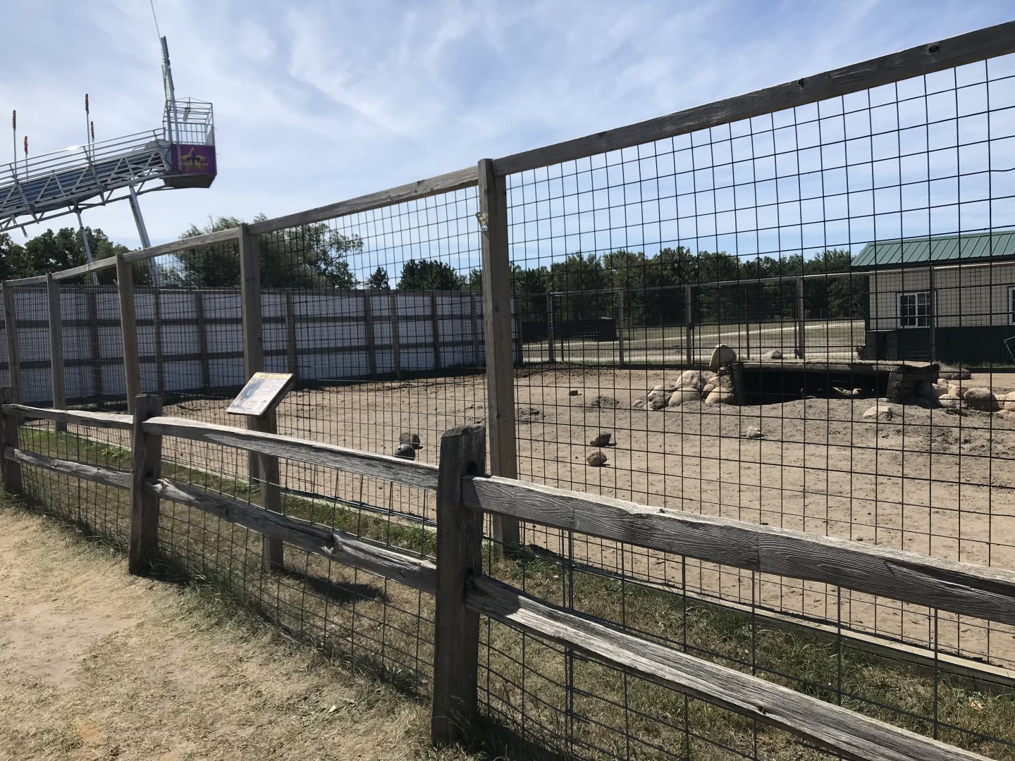 “Africa”- warthog exhibit