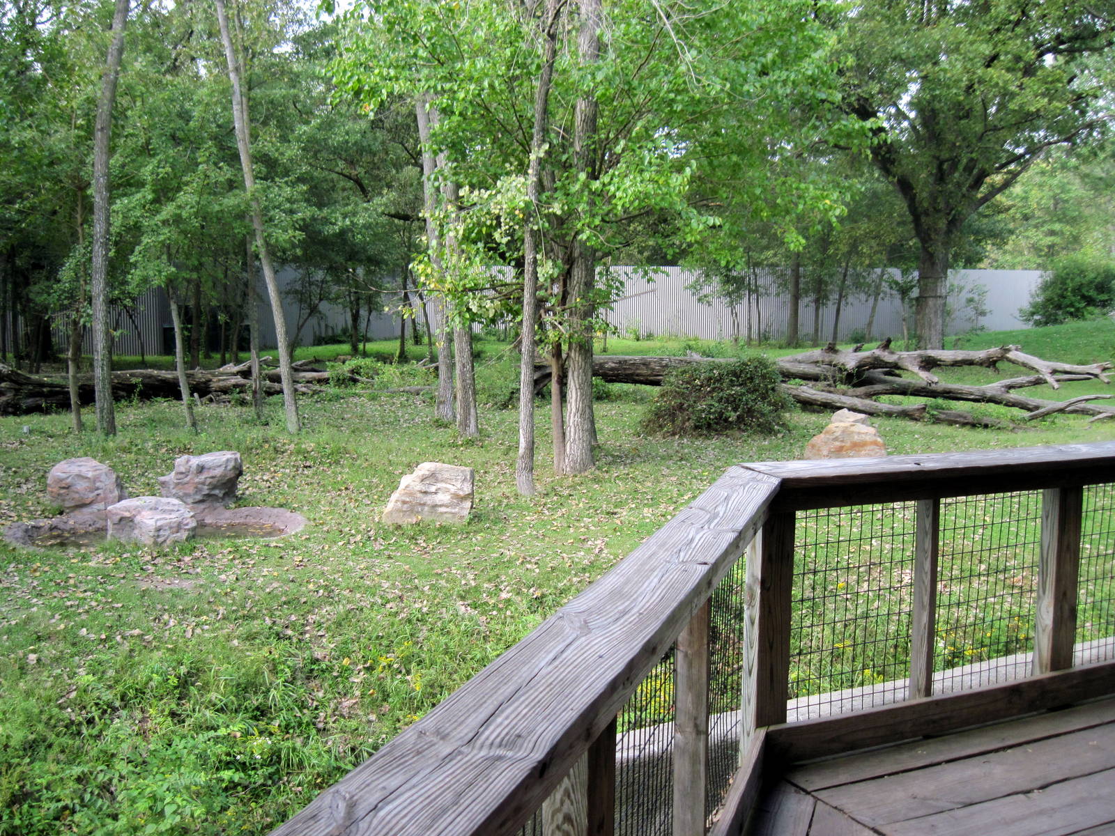 Africa-Western Gorilla Exhibit