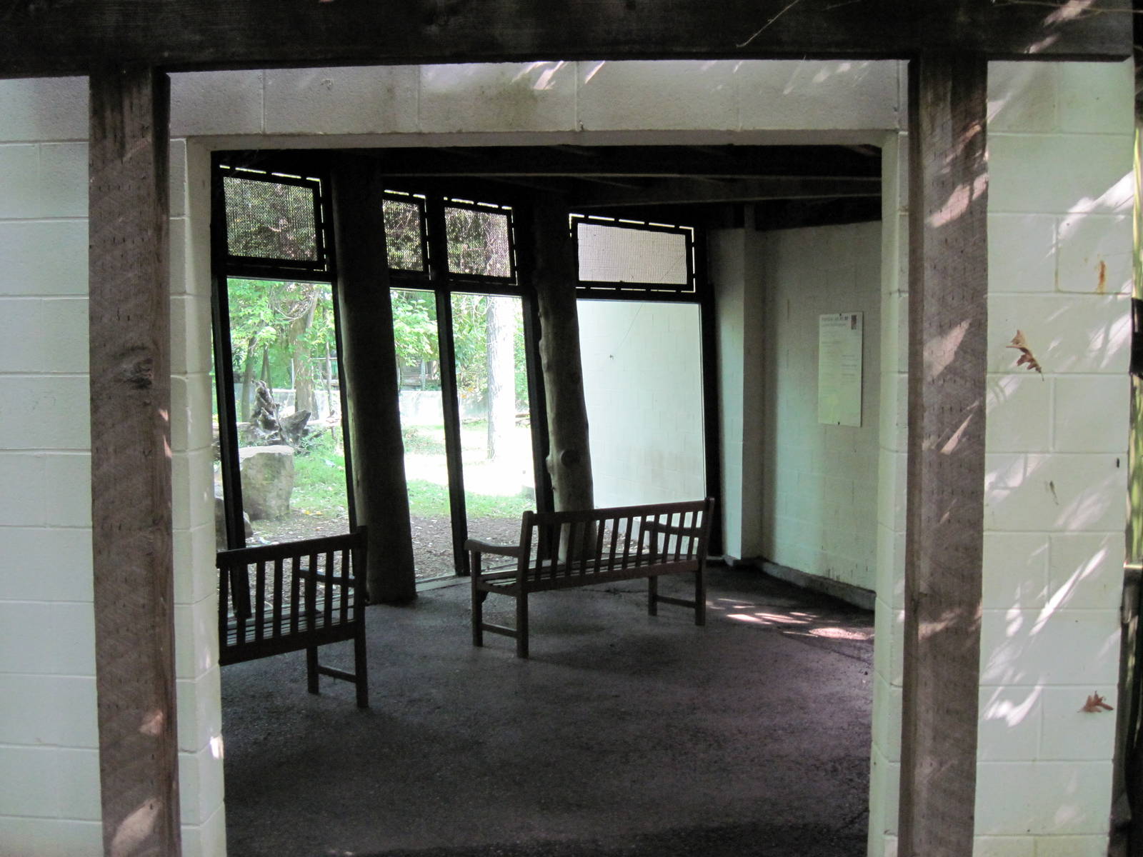 Africa-Western Gorilla Viewing Shelter