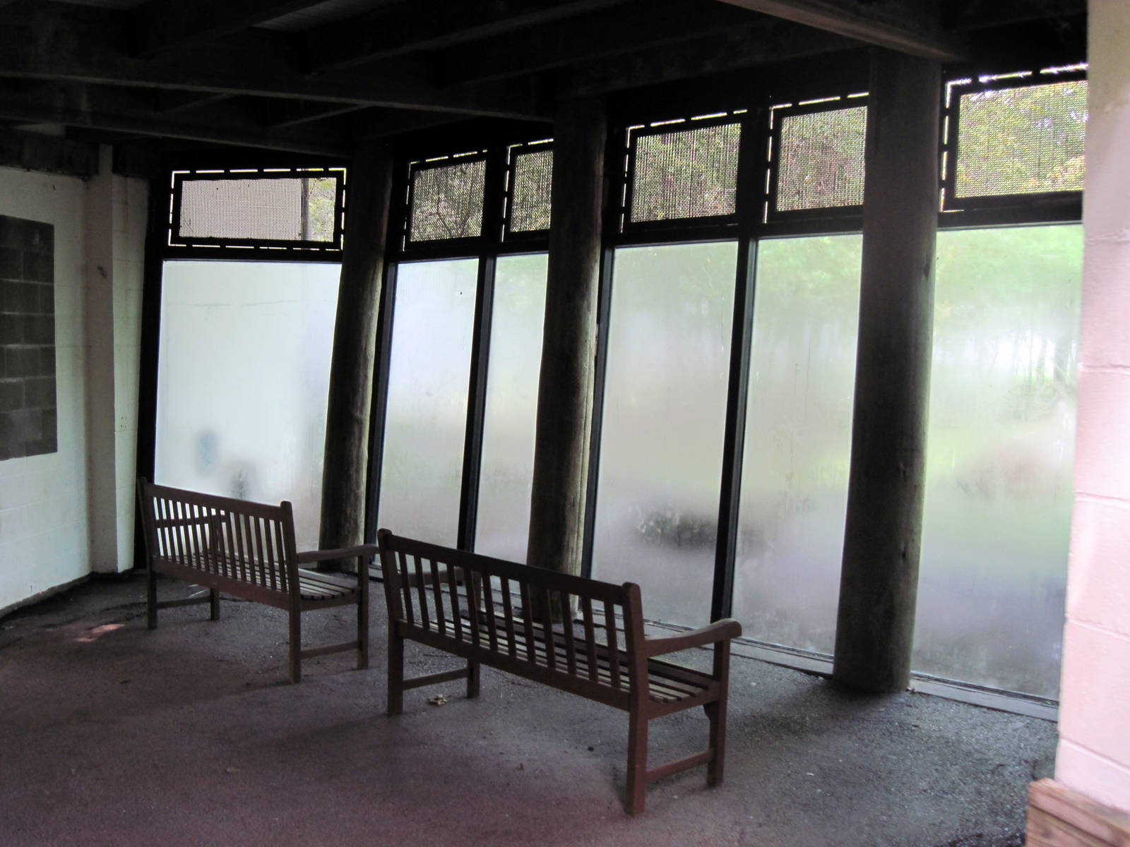 Africa-Western Gorilla Viewing Shelter