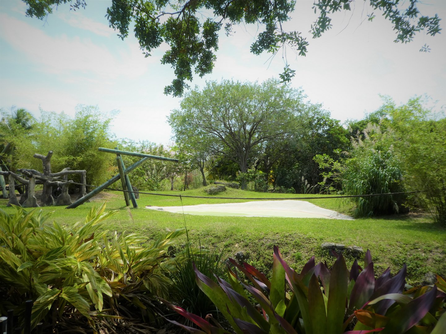 Africa - Western Lowland Gorilla Exhibit