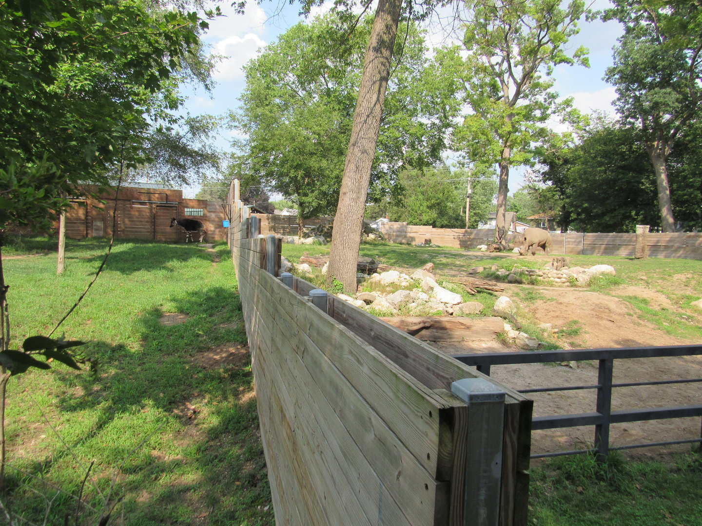 Africa - White Rhino and Okapi Exhibits