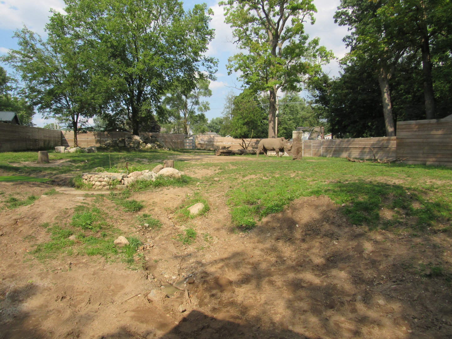 Africa - White Rhino Exhibit (New in 2019)