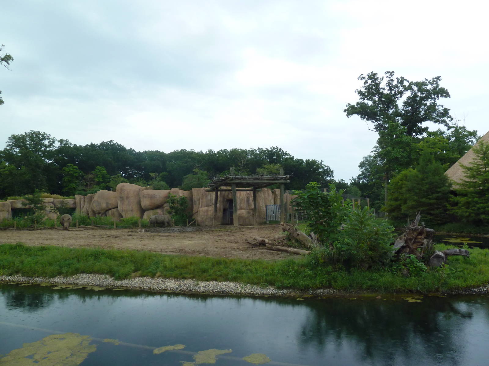 Africa! - White Rhino/Grevy's Zebra Exhibit