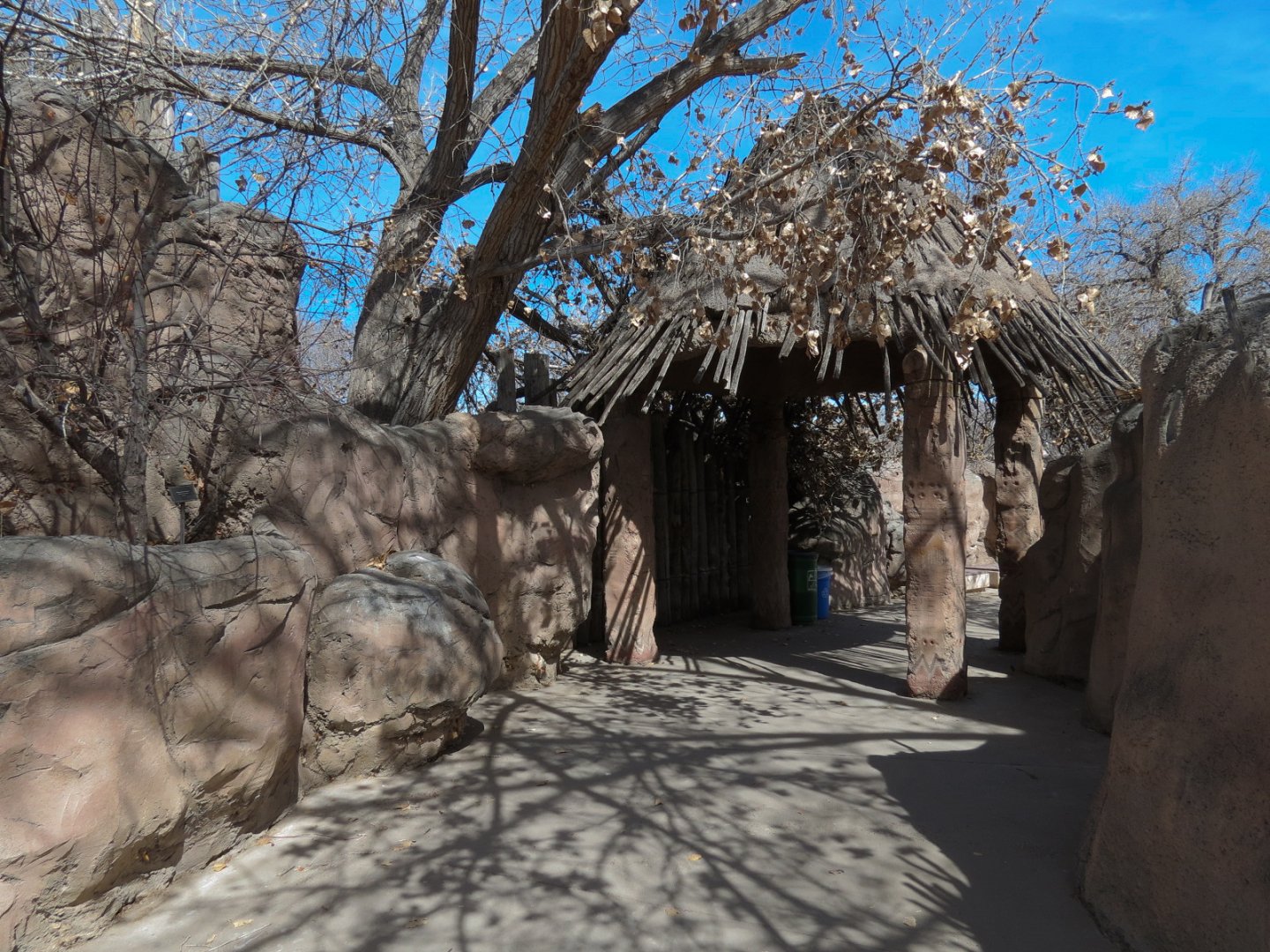 Africa - White Rhinoceros Exhibit Viewing Area