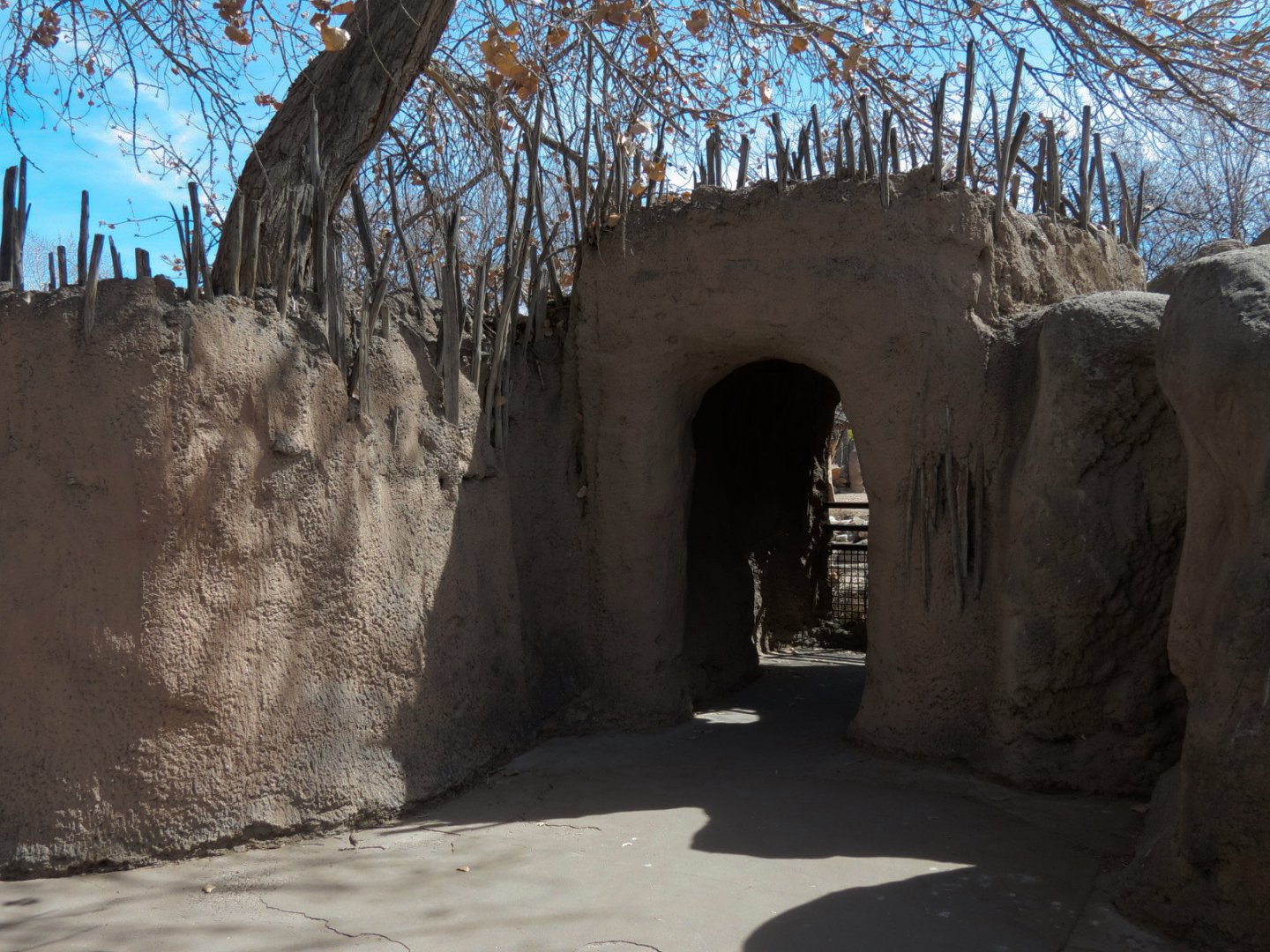 Africa - White Rhinoceros Exhibit Viewing Area