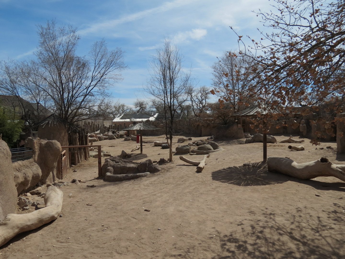 Africa - White Rhinoceros Exhibit