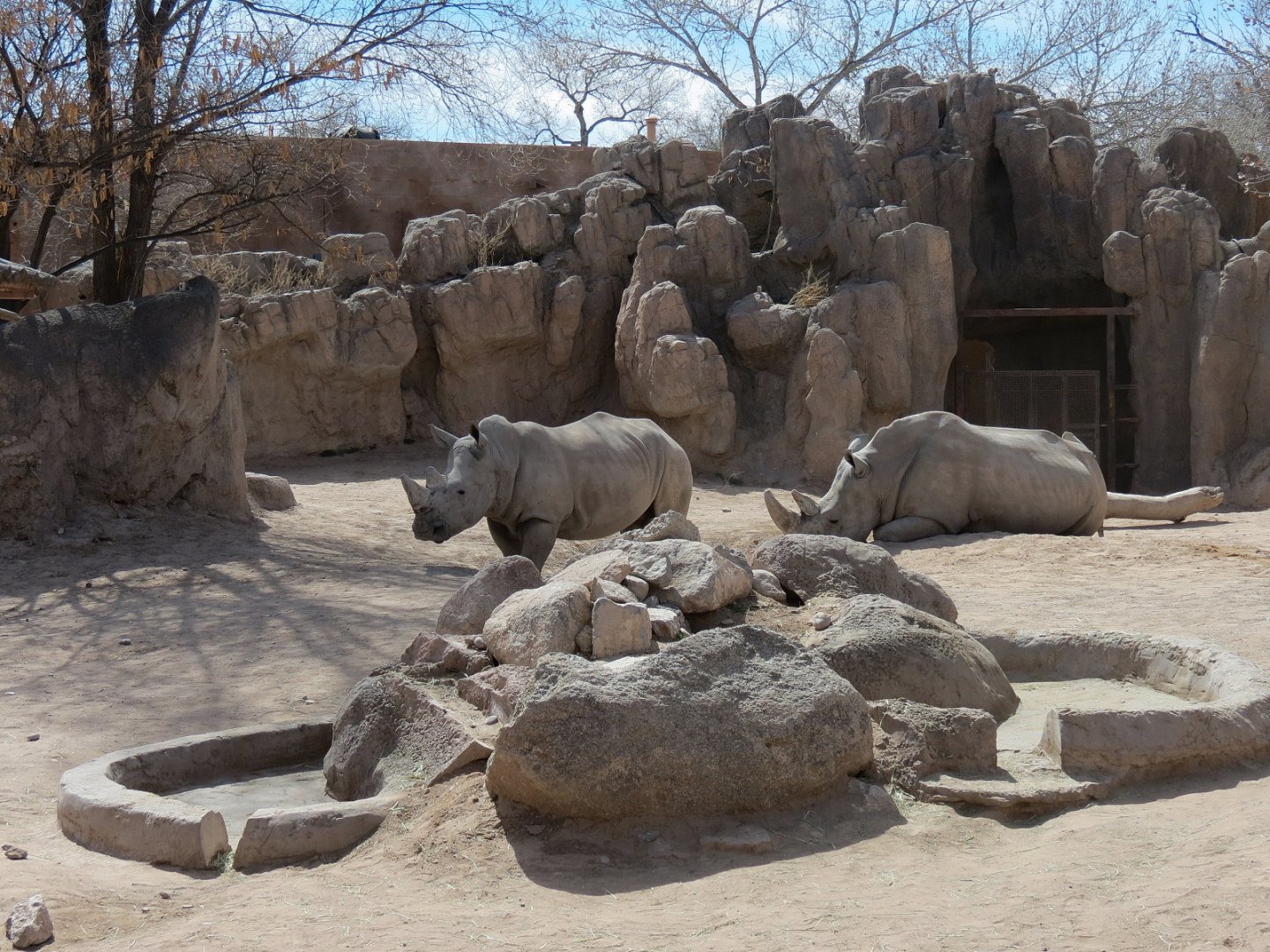 Africa - White Rhinoceros Exhibit