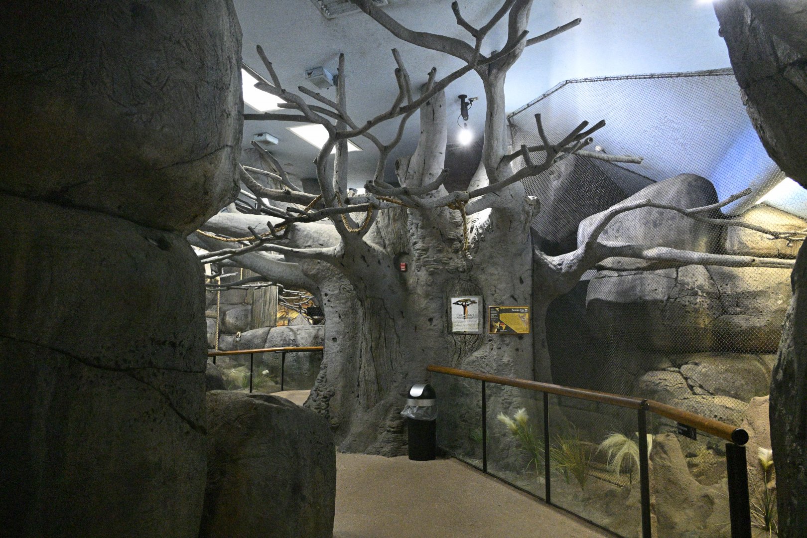 Africa Wing - Scenery