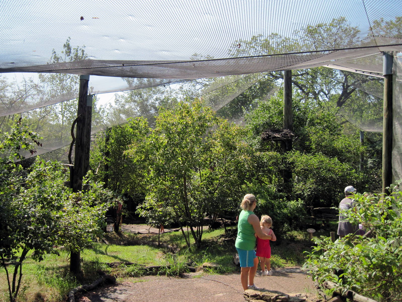 Africa-Woodland Aviary