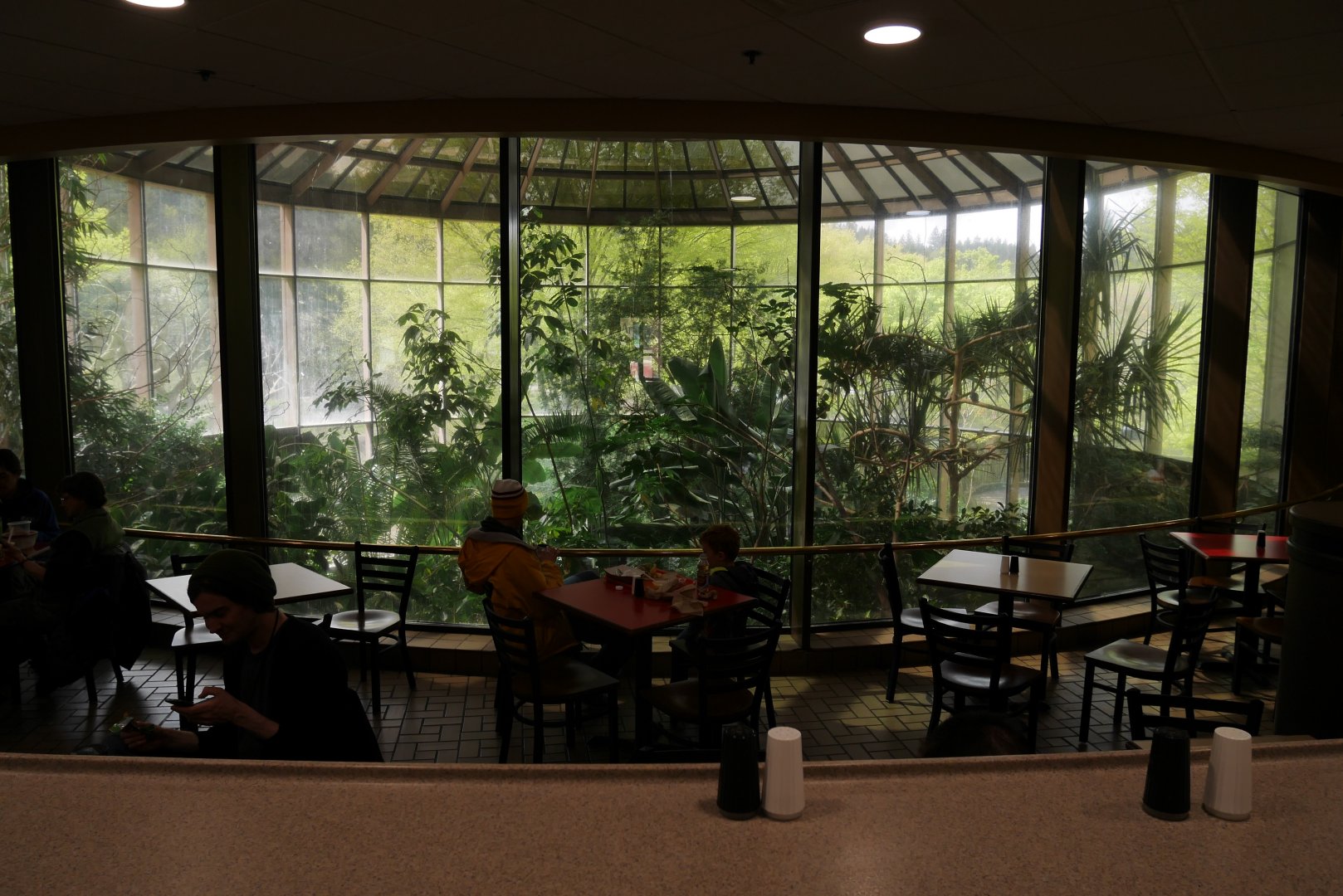 AfriCafe and Howard Vollum Aviary - My First US Zoo Trip