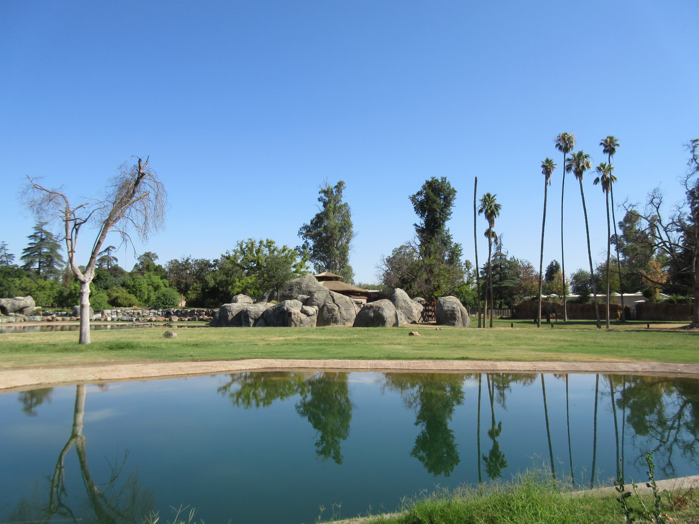 African Adventure - African Elephant  Exhibit