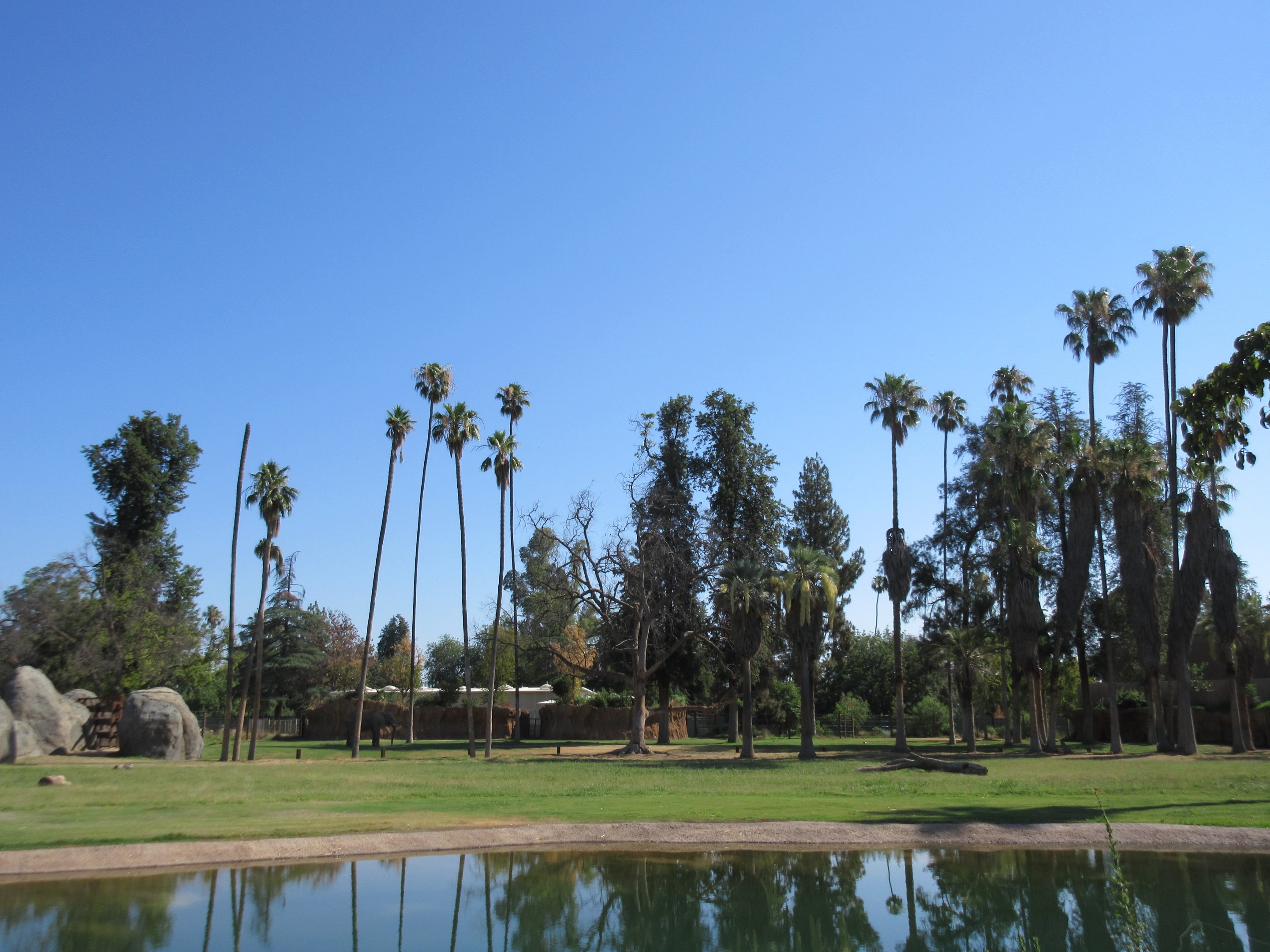 African Adventure - African Elephant  Exhibit