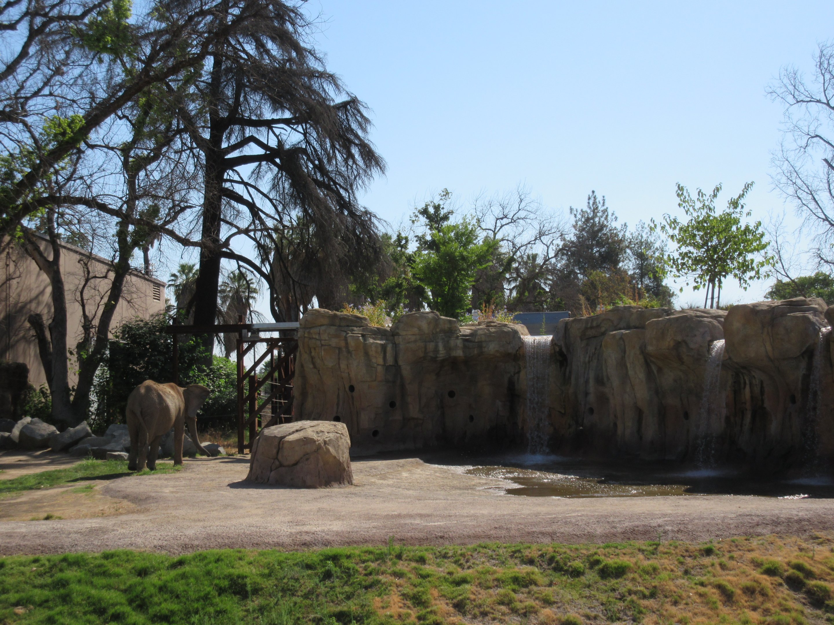 African Adventure - African Elephant  Exhibit