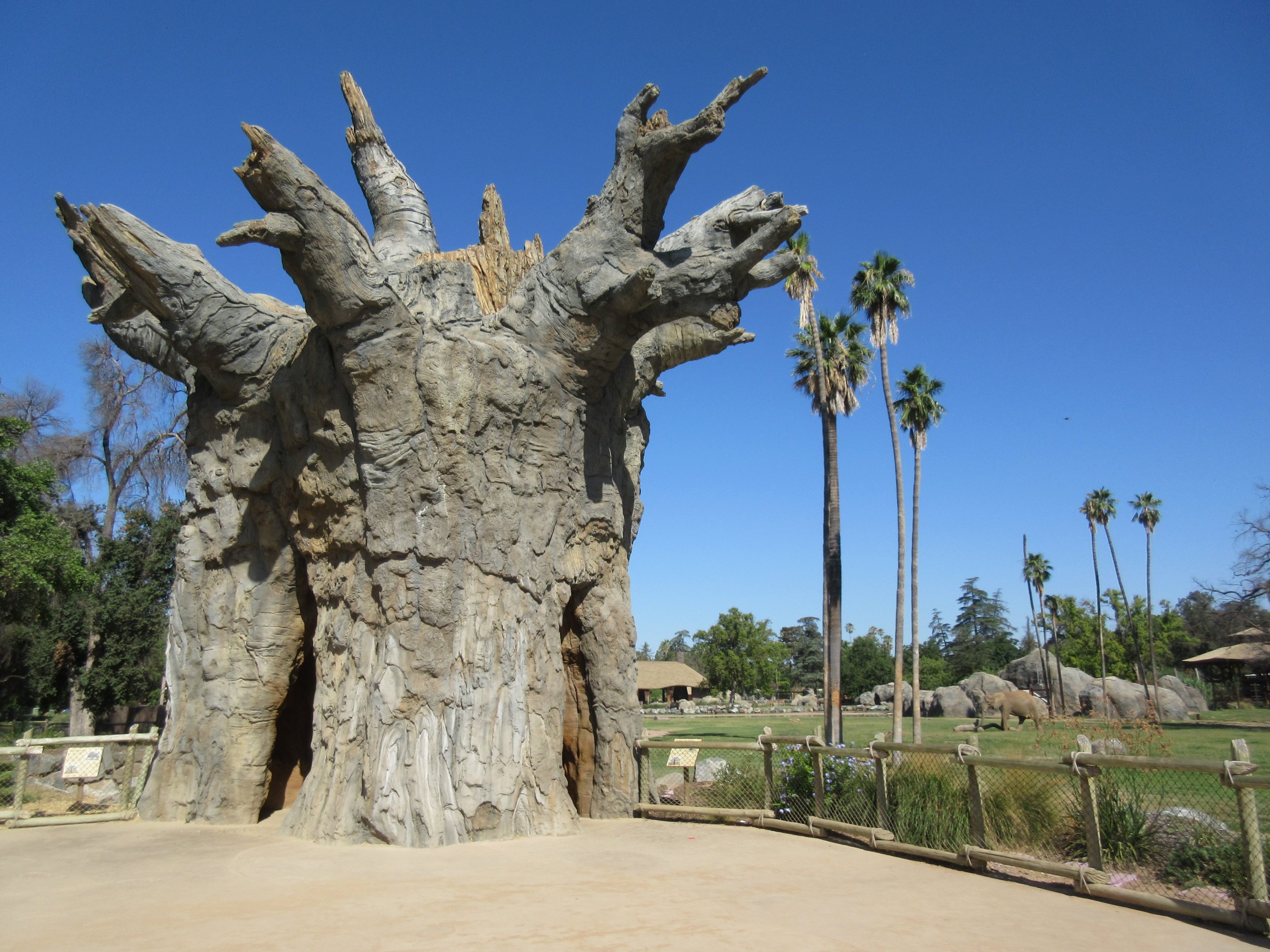 African Adventure - African Elephant  Exhibit