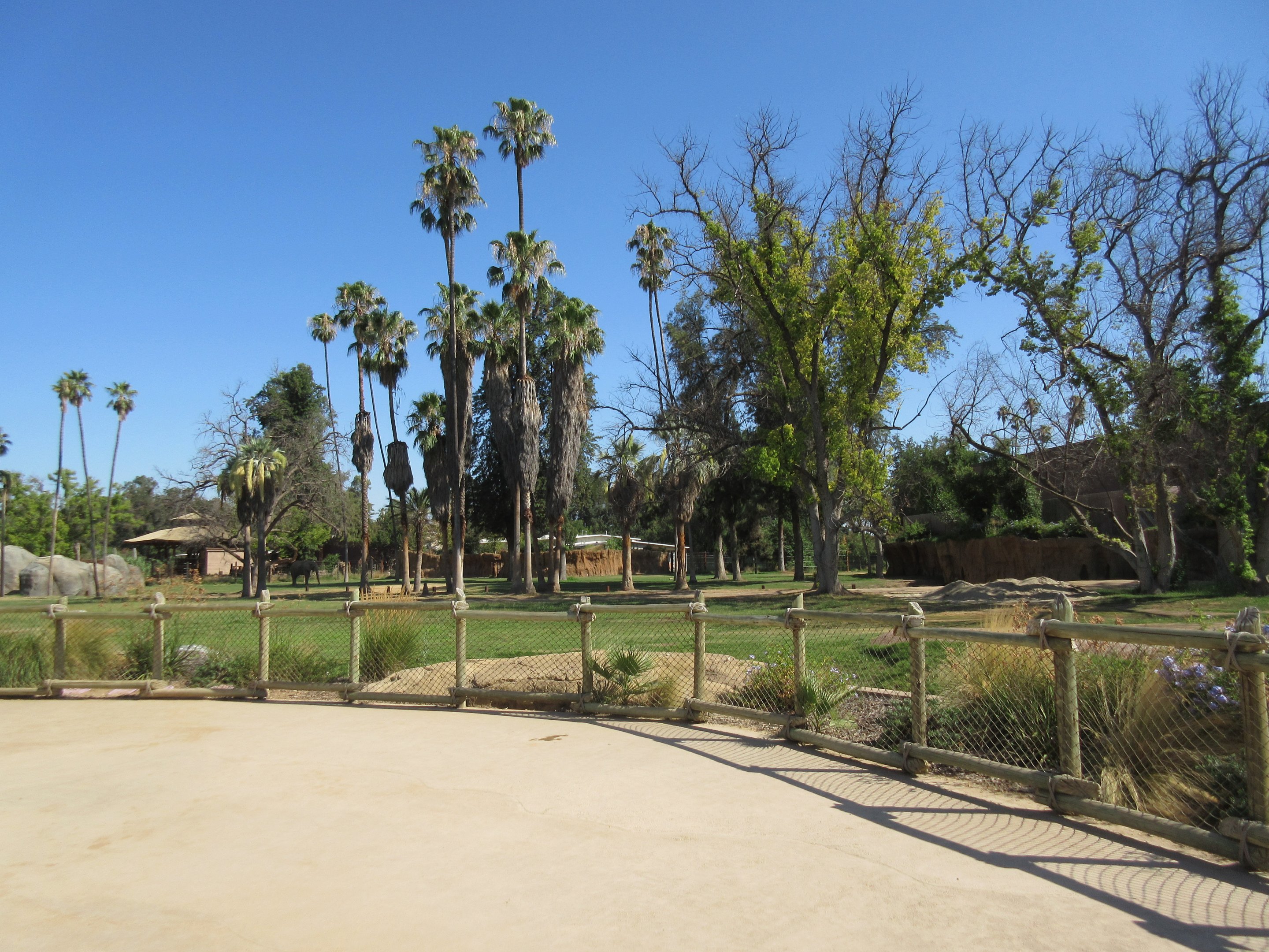 African Adventure - African Elephant  Exhibit
