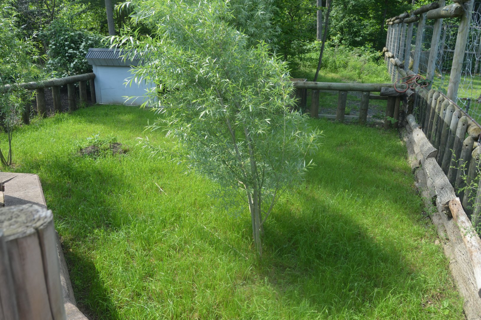 African Adventure - Empty Exhibit?