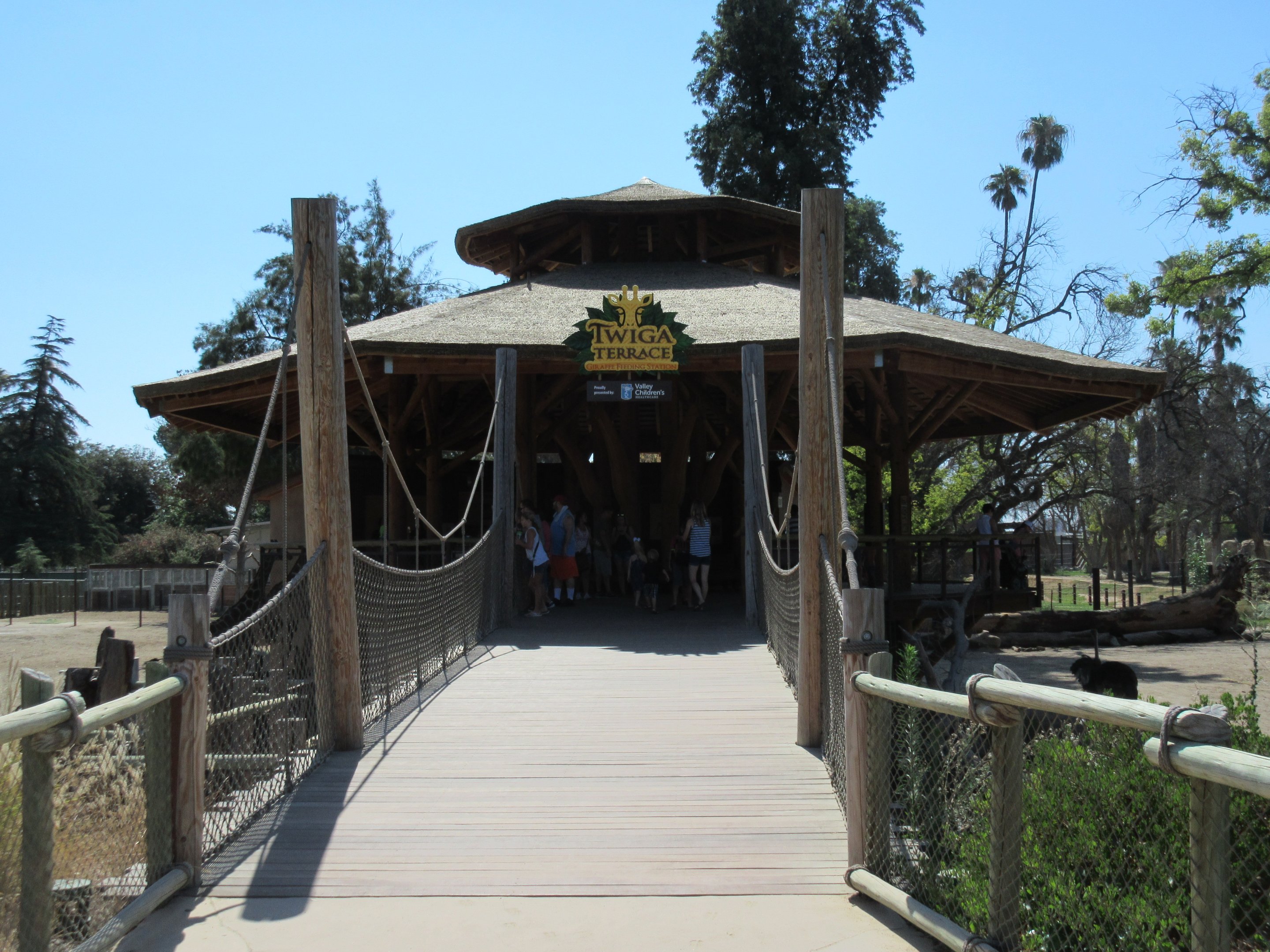African Adventure - Giraffe Feeding Platform + Lookout
