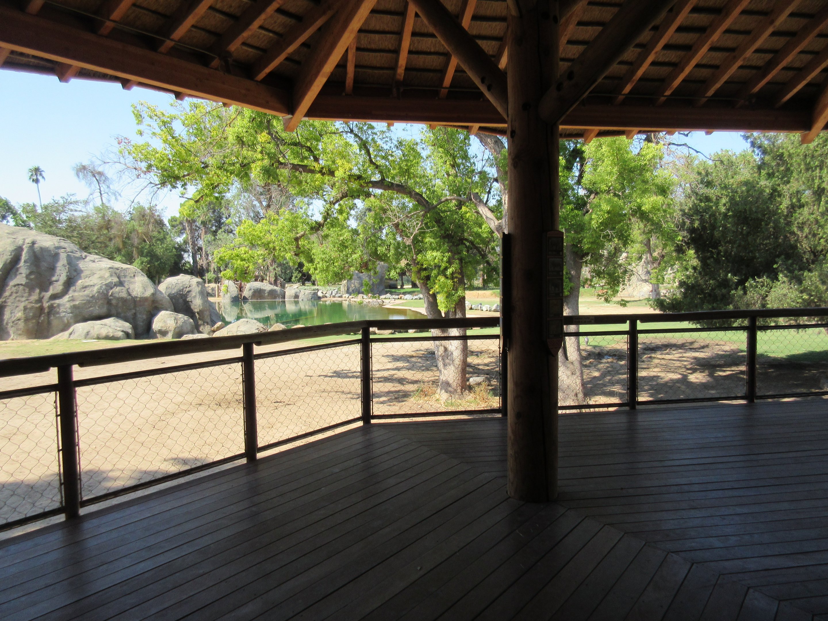 African Adventure - Giraffe Feeding Platform