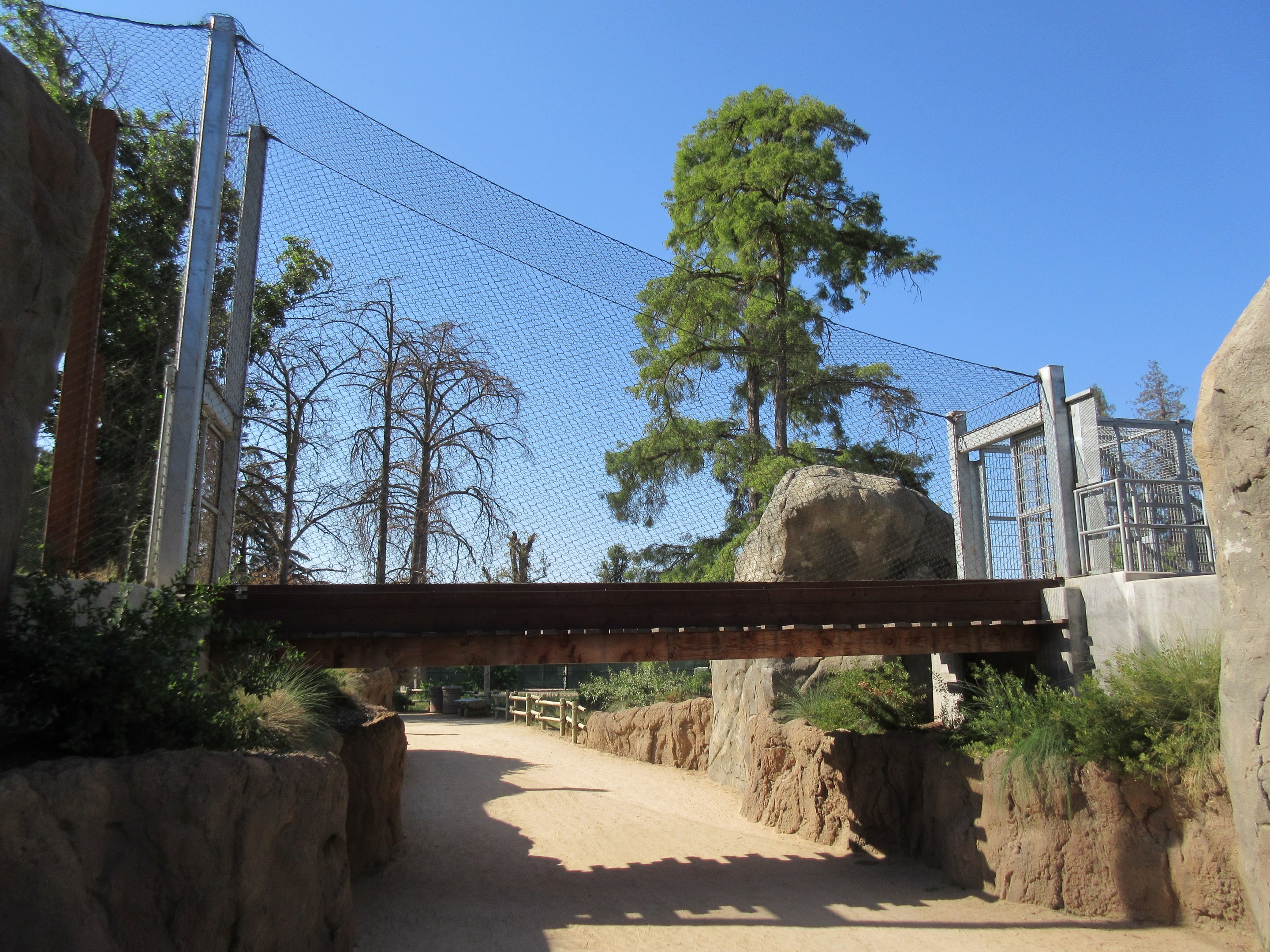 African Adventure - Lion Bridge