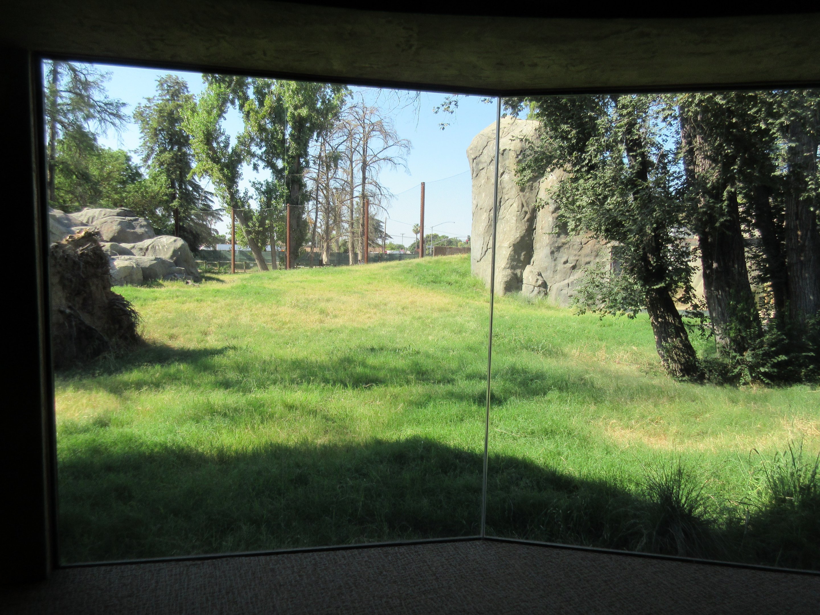 African Adventure - Lion Exhibit View (from classroom/rental space)