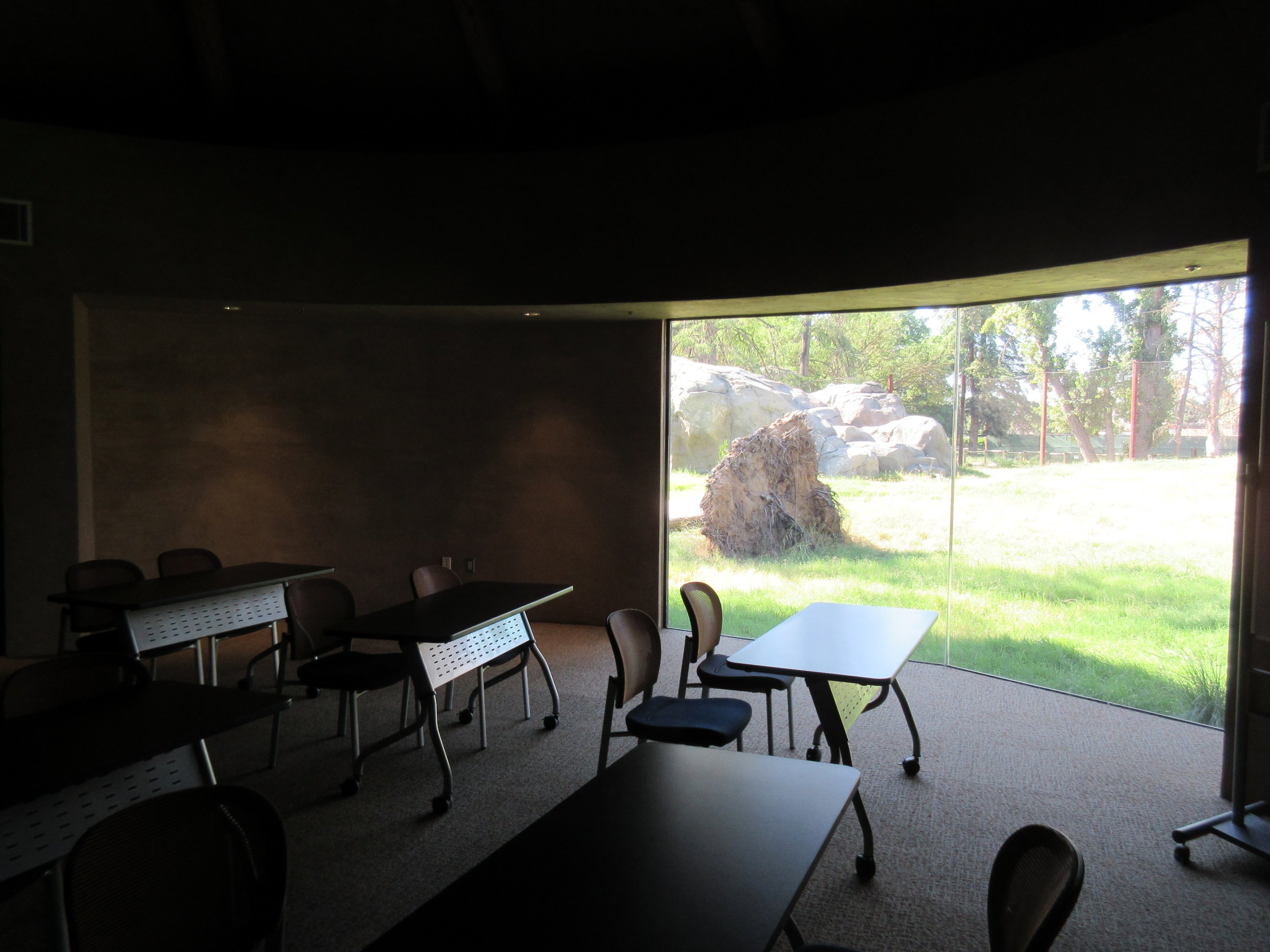 African Adventure - Lion Exhibit View (from classroom/rental space)