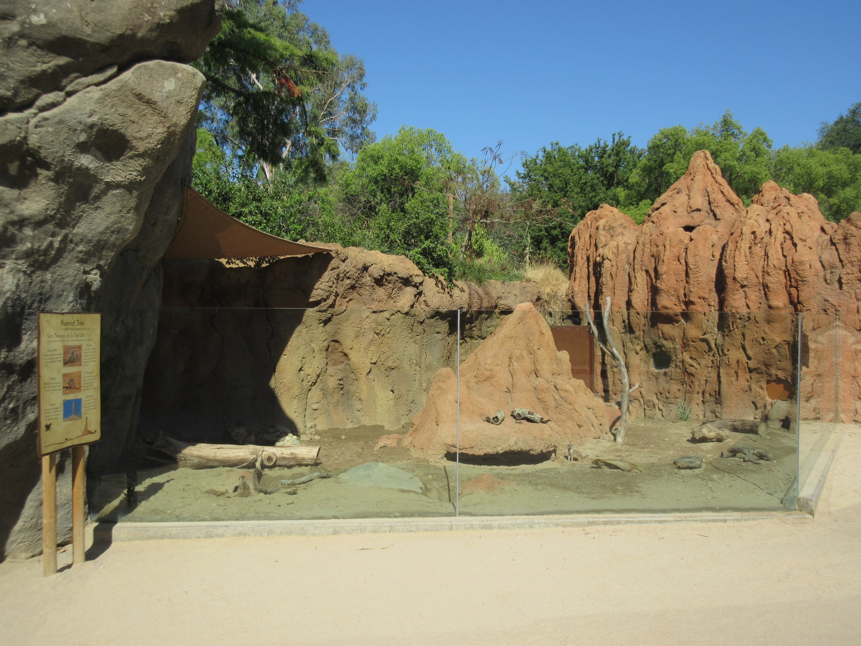African Adventure - Meerkat Exhibit
