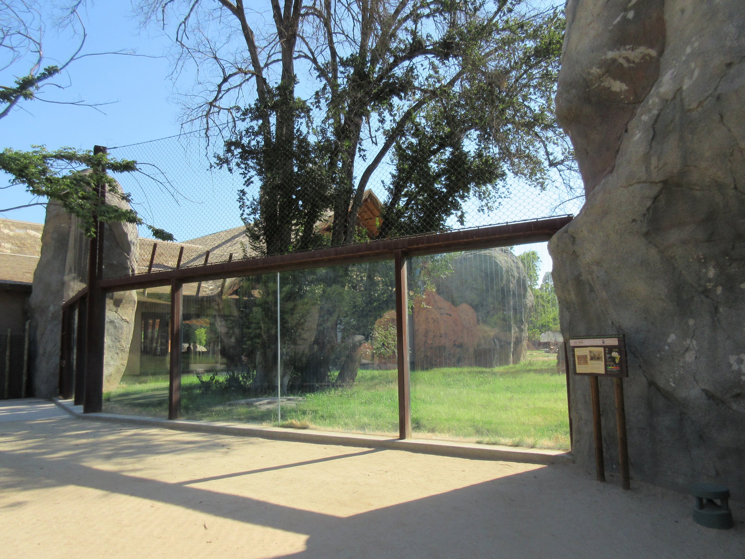 African Adventure - Outstanding Lion Exhibit