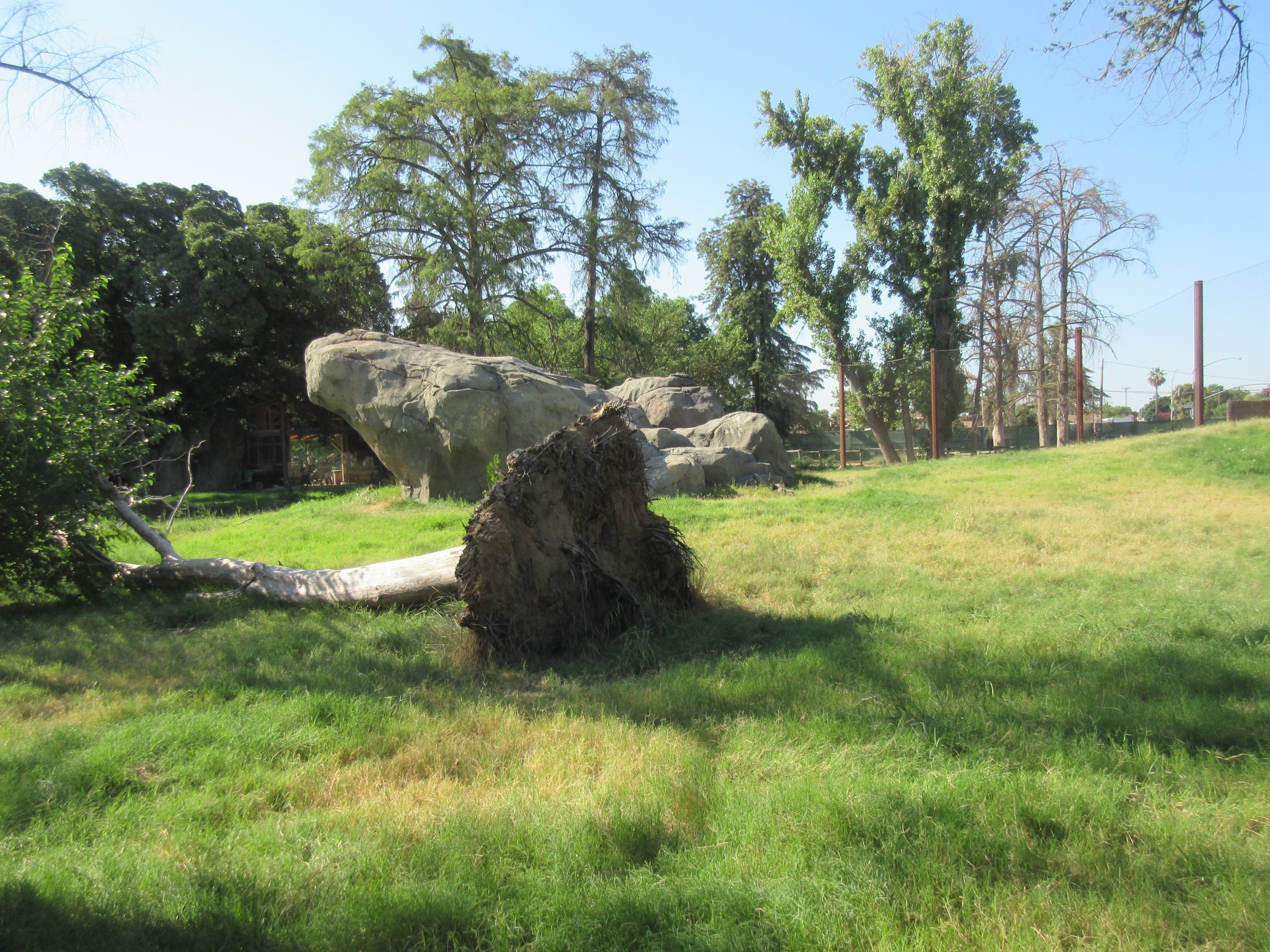 African Adventure - Outstanding Lion Habitat