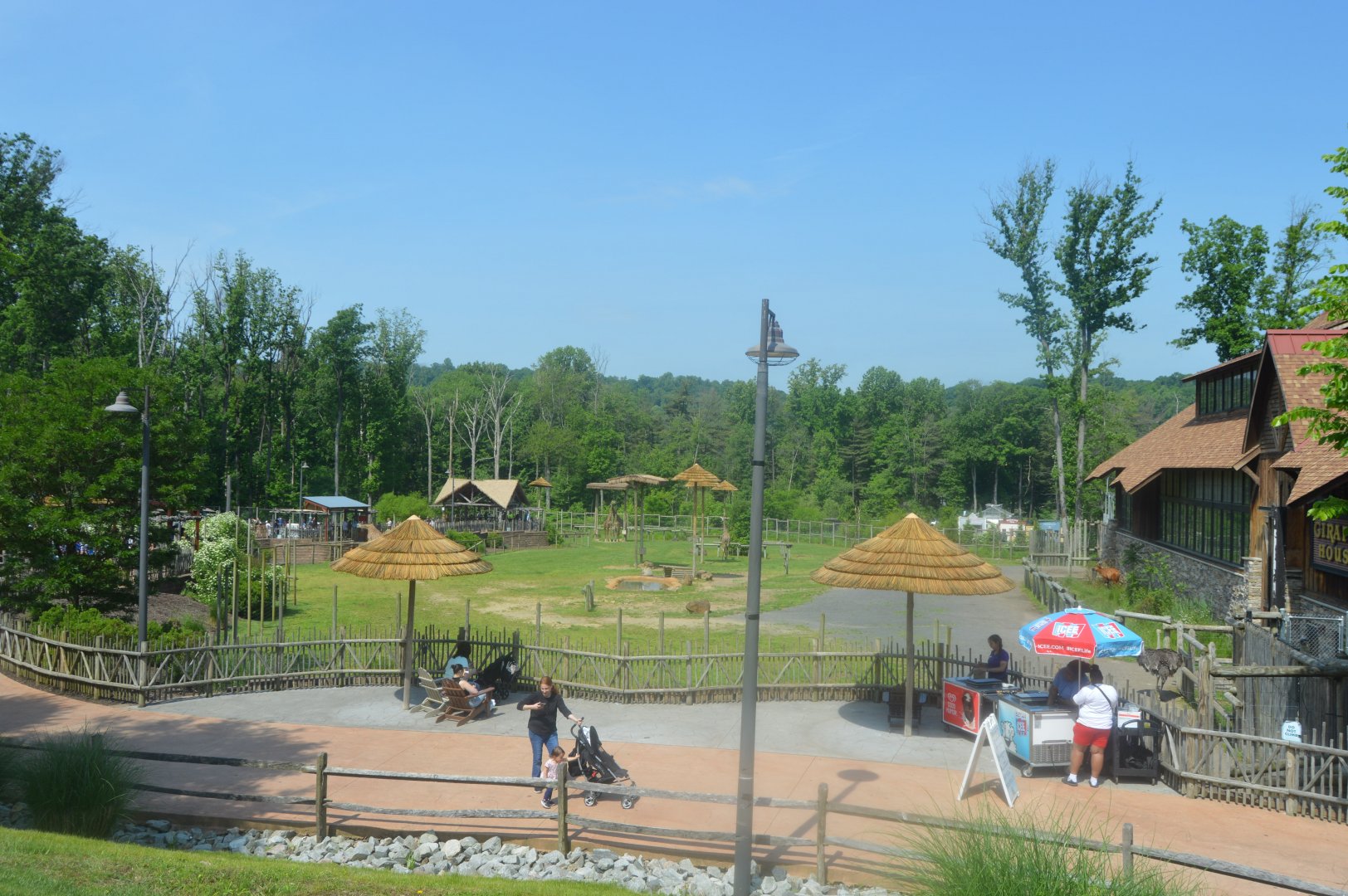 African Adventure - Overview