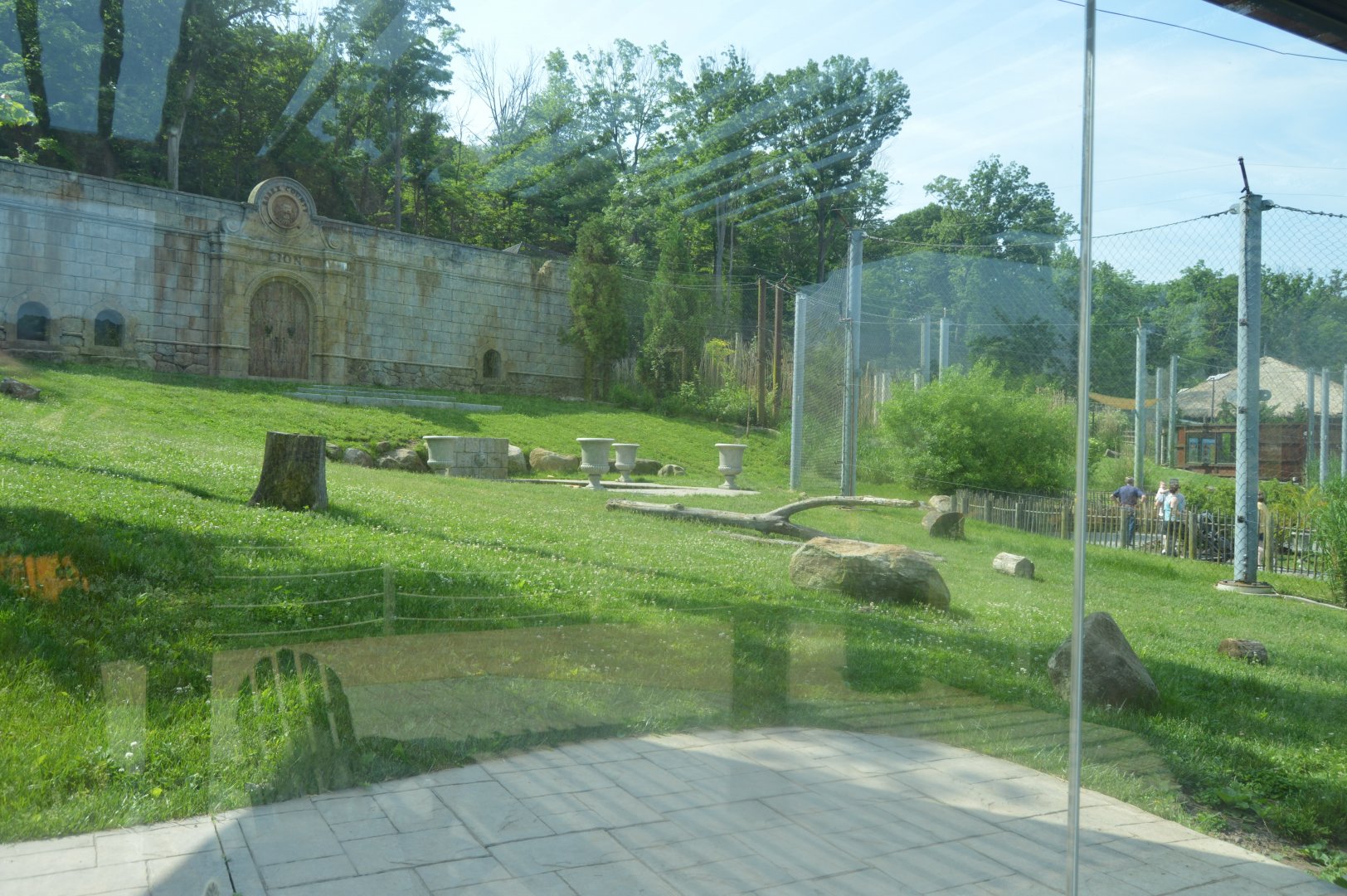 African Adventure - Spotted Hyena (Crocuta crocuta) Exhibit