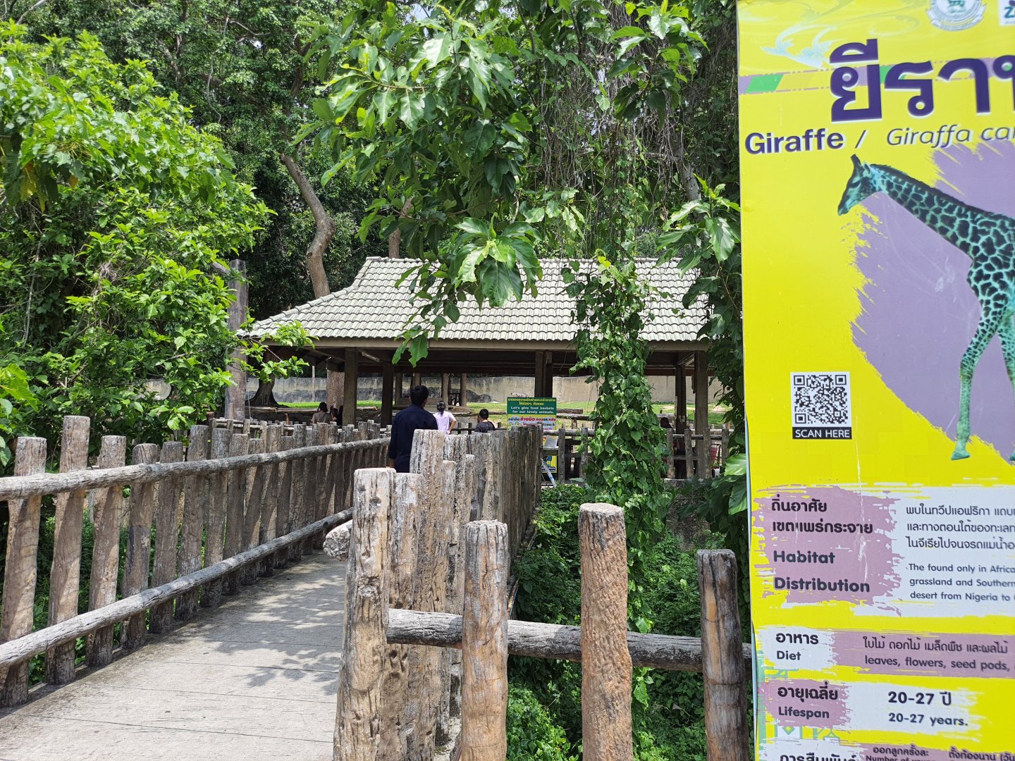 African Animal Viewing Area