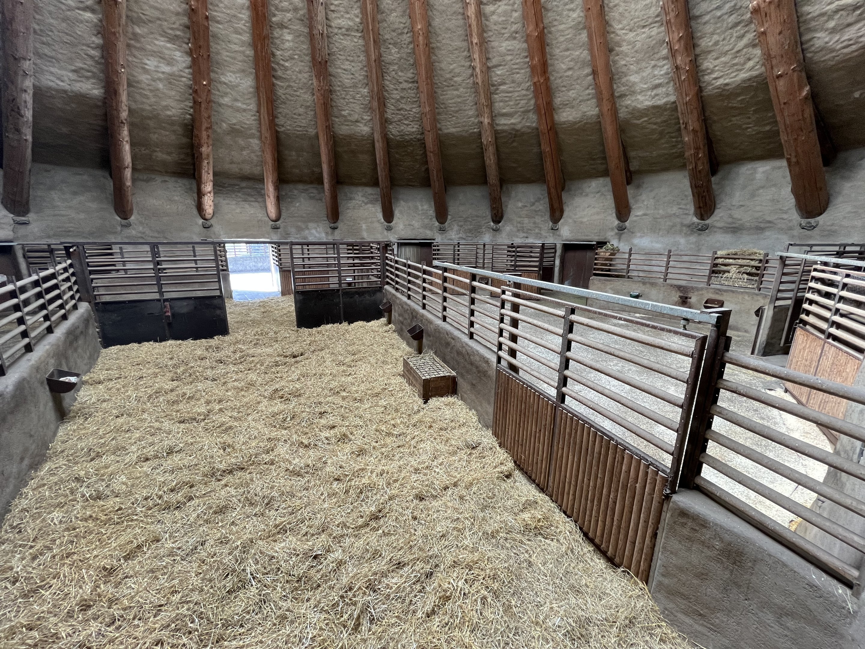 African Antelope House